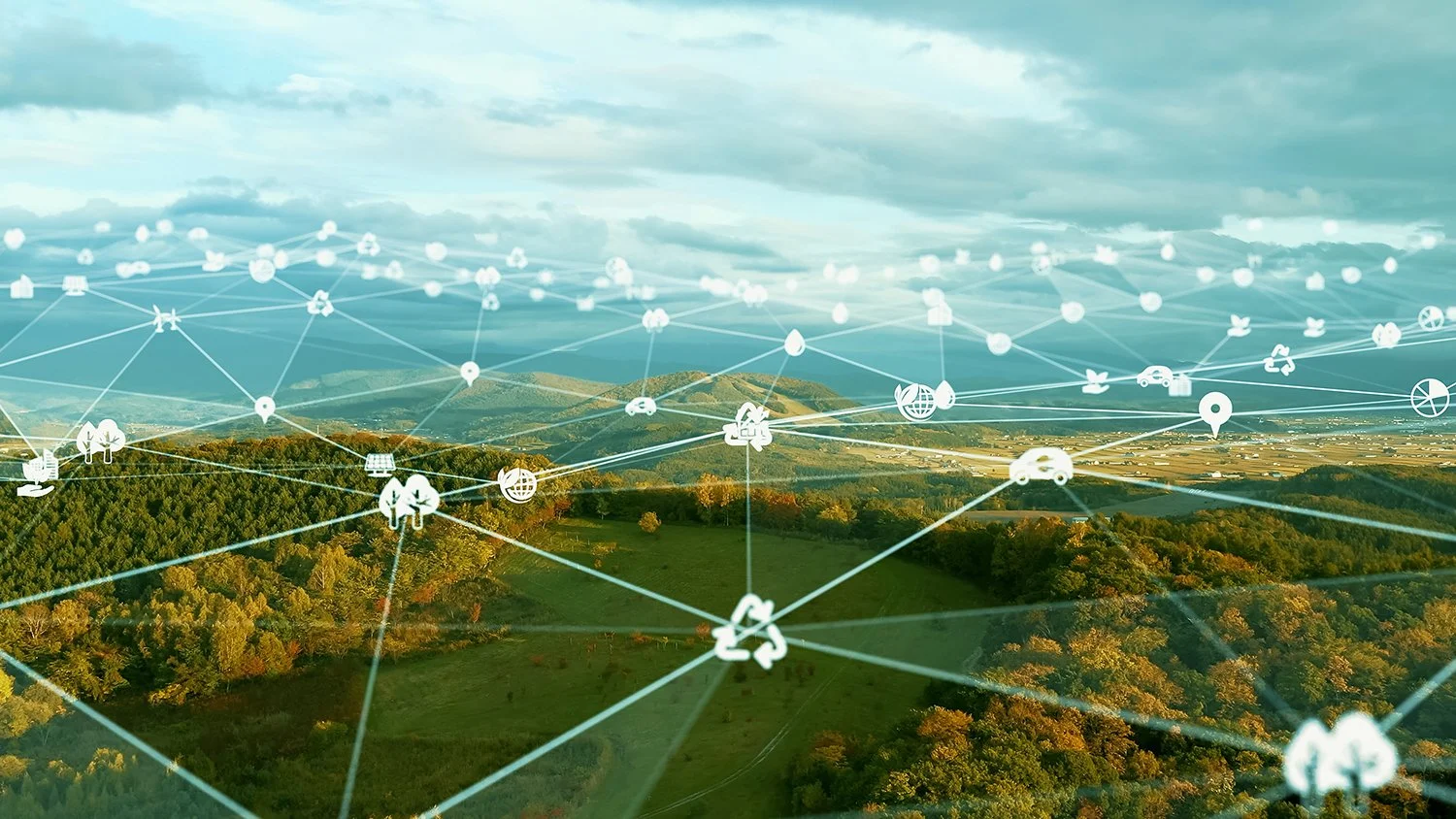 Aerial shot of a forest with connecting sustainability idea icons overlaying the image