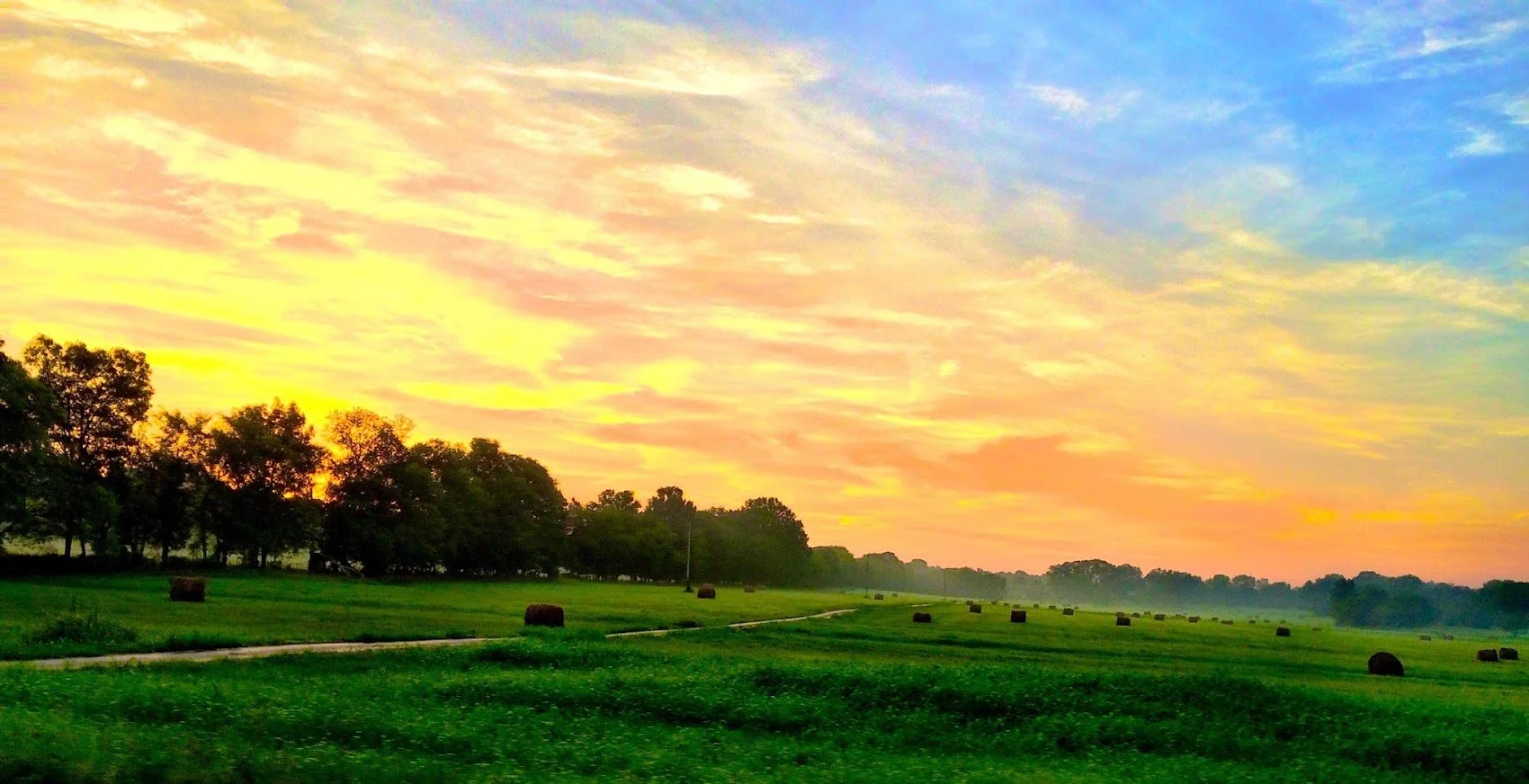 Sunrise over field.JPG