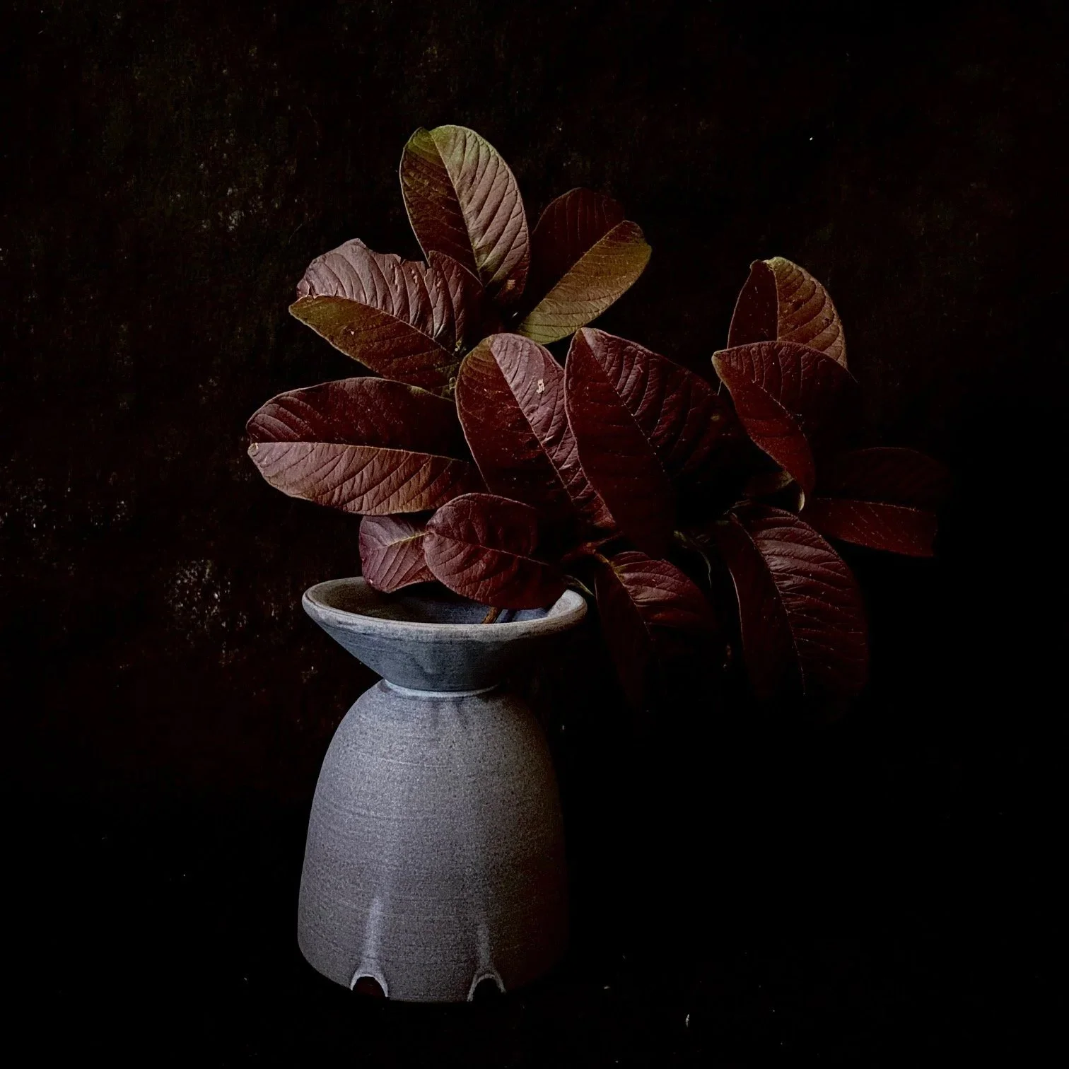 Marama+-+vase copy.jpg