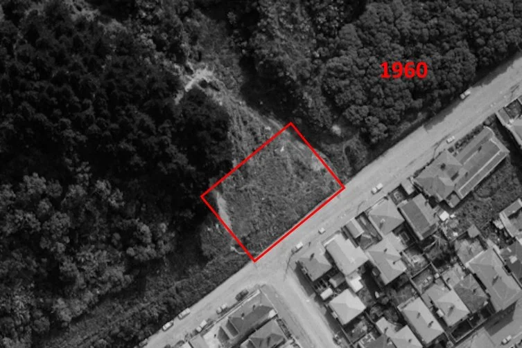 1960.jpg