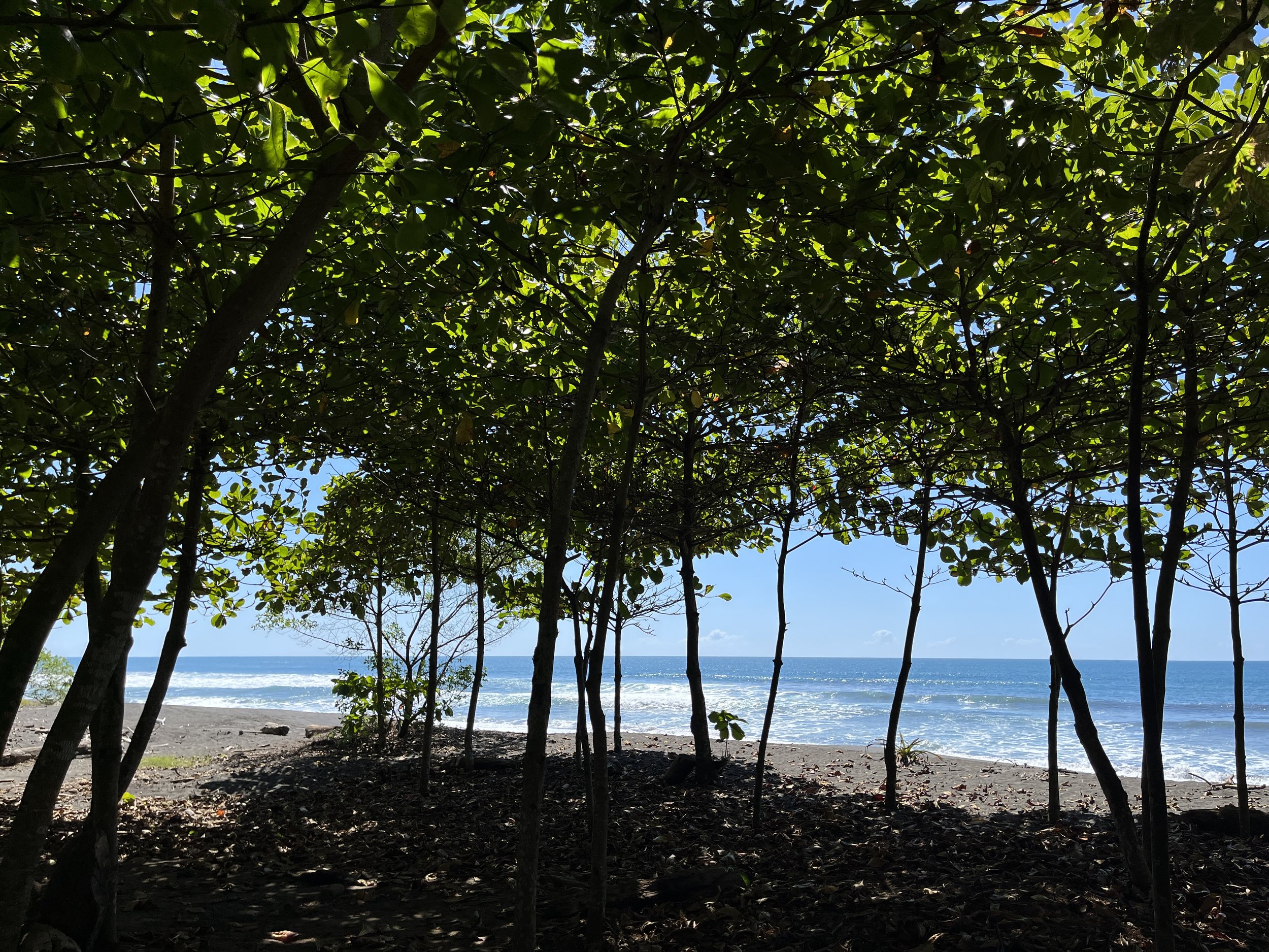 Copia de IMG_3269.jpg