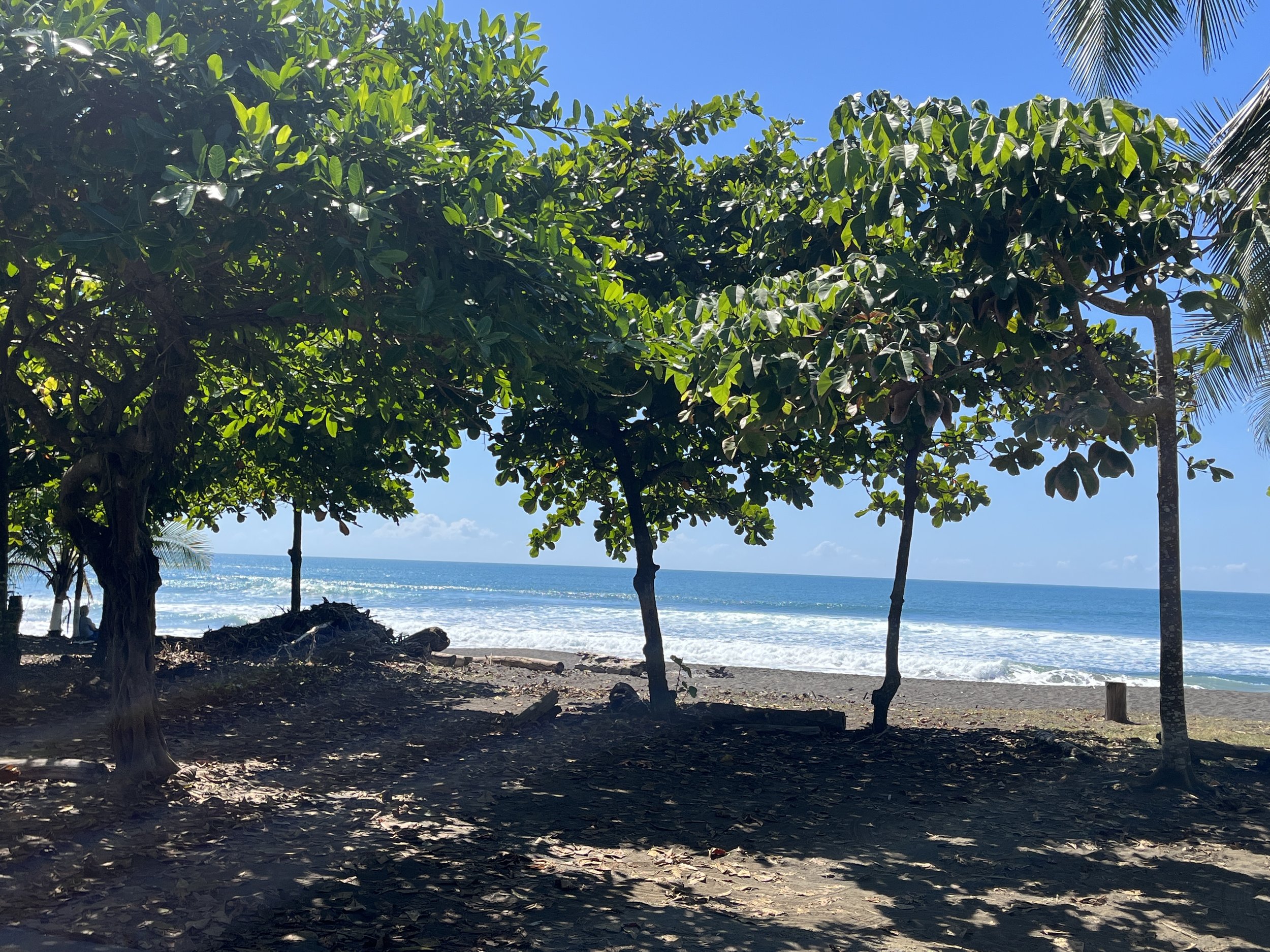 Copia de IMG_3235.jpg