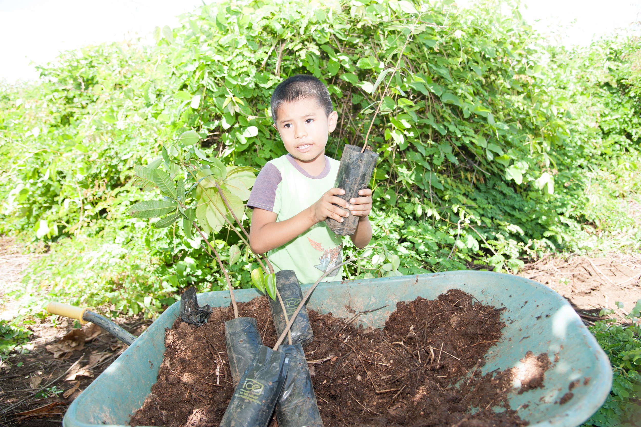 Copia de CRI_3963.jpg