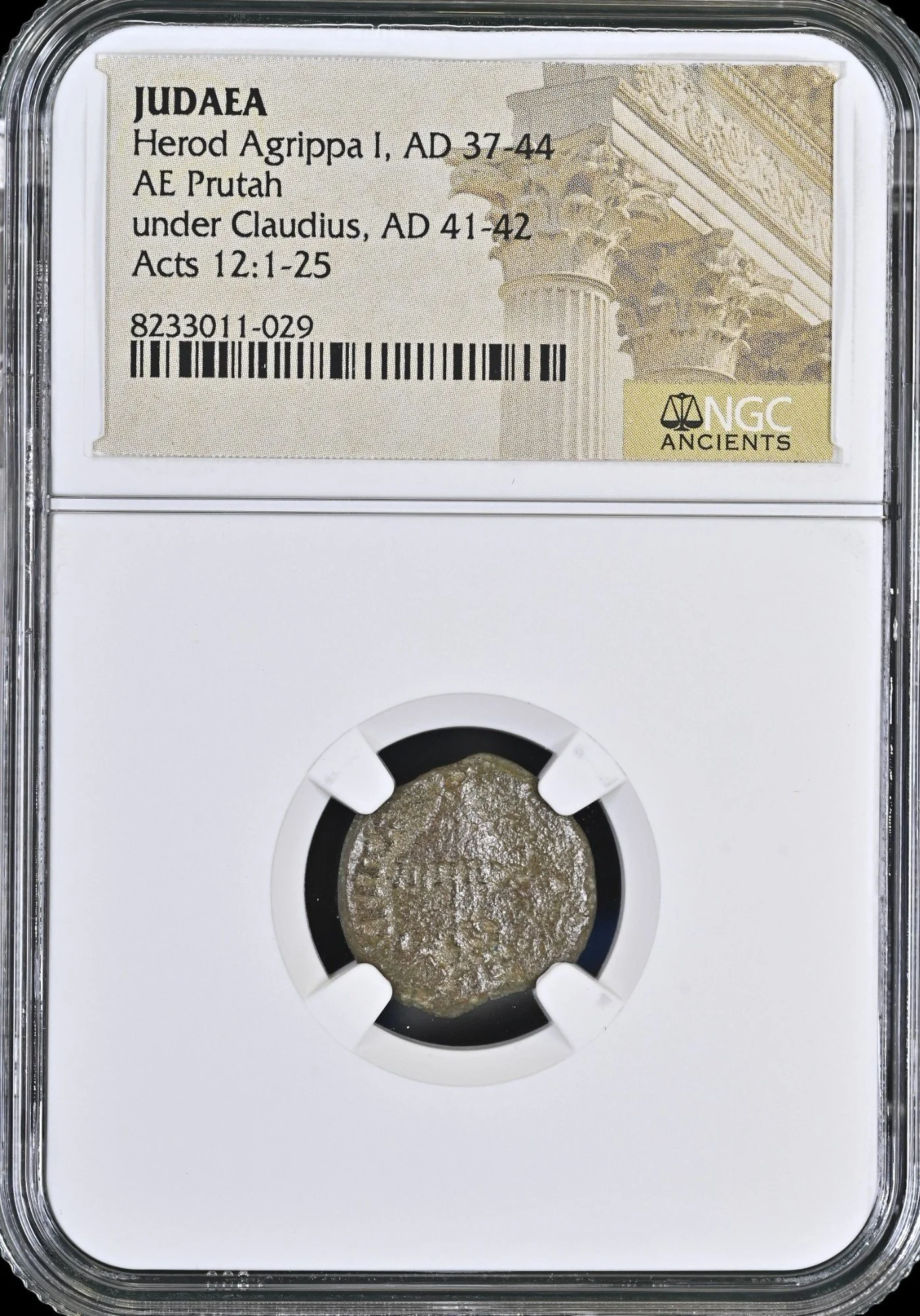 agrippa-ngcmg - Copy-Photoroom.jpg
