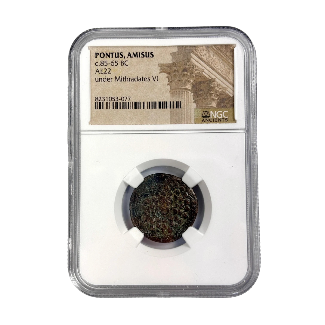 Pontus, Amisos Bronze — Gorgon Head Apotropaic Issue, Struck Under Mithradates VI, NGC-Certified