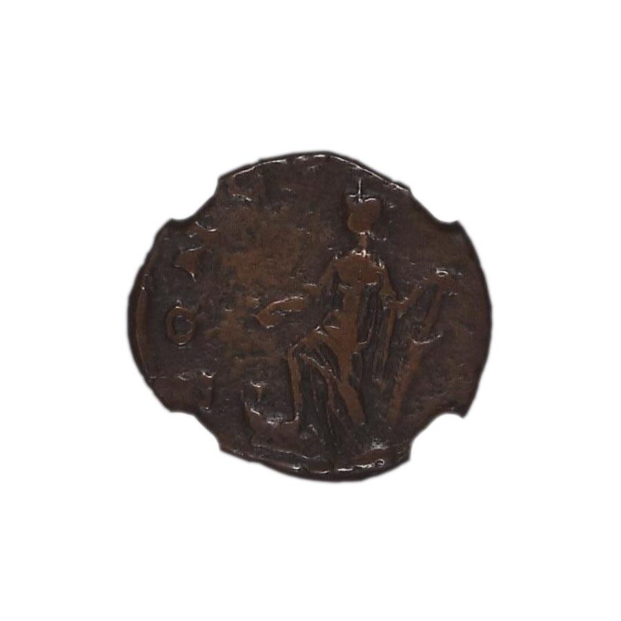AUREOLUS_POST_ANT_NGC_LG.jpg