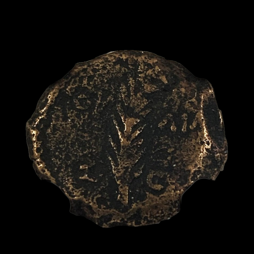 6.png