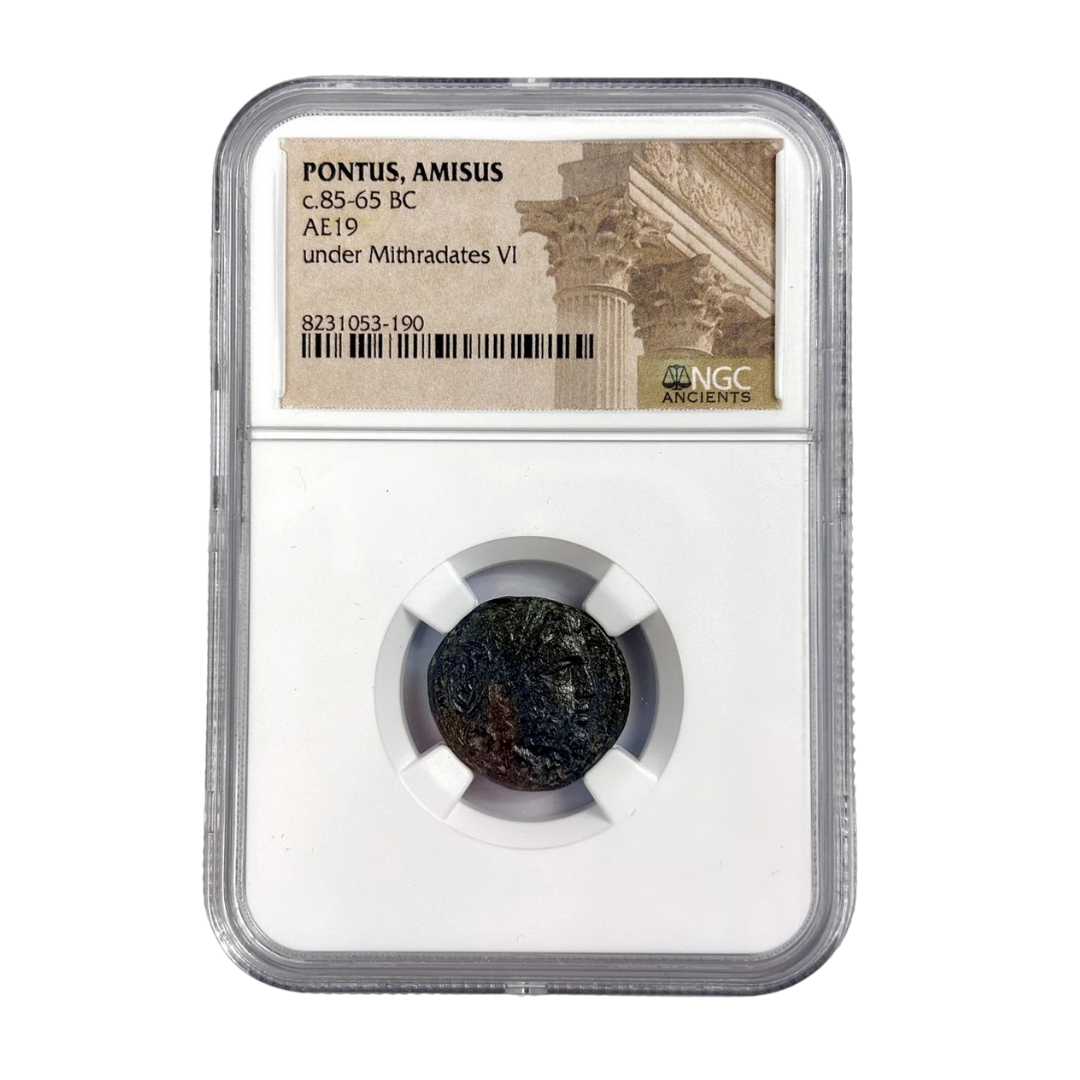 Pontus Bronze — Zeus Supreme Authority Type, Struck Under Mithradates VI, NGC-Certified