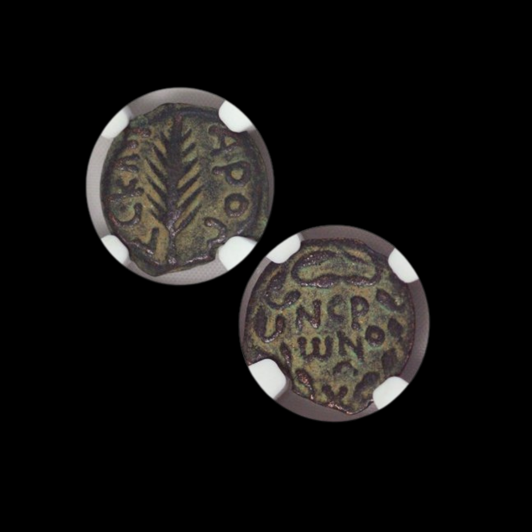Judaea Ae Porcius Festus (AD 59-62) Prutah NGC (2).png