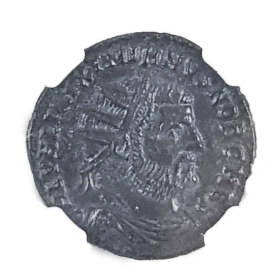 galerius_ant_ngc_au_1.jpg