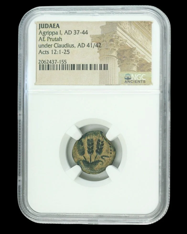 agrippa1st-ngchgf - Copy-Photoroom.jpg