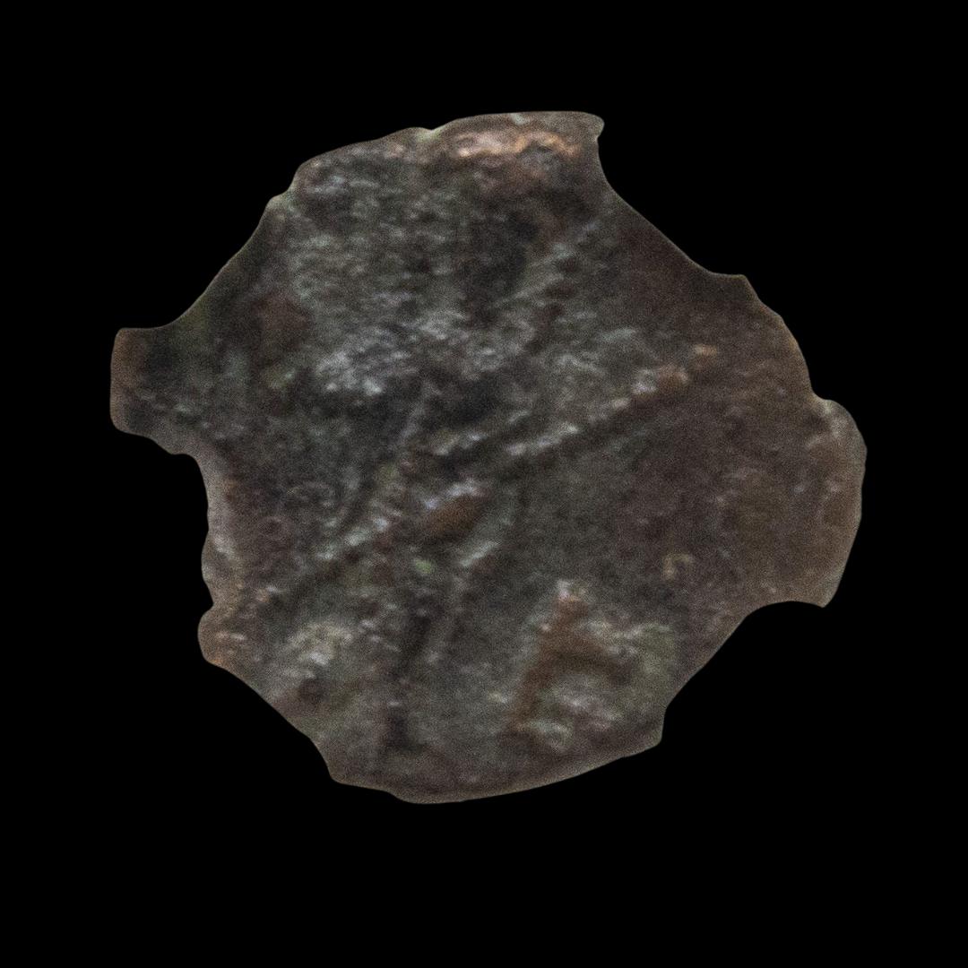 5.png