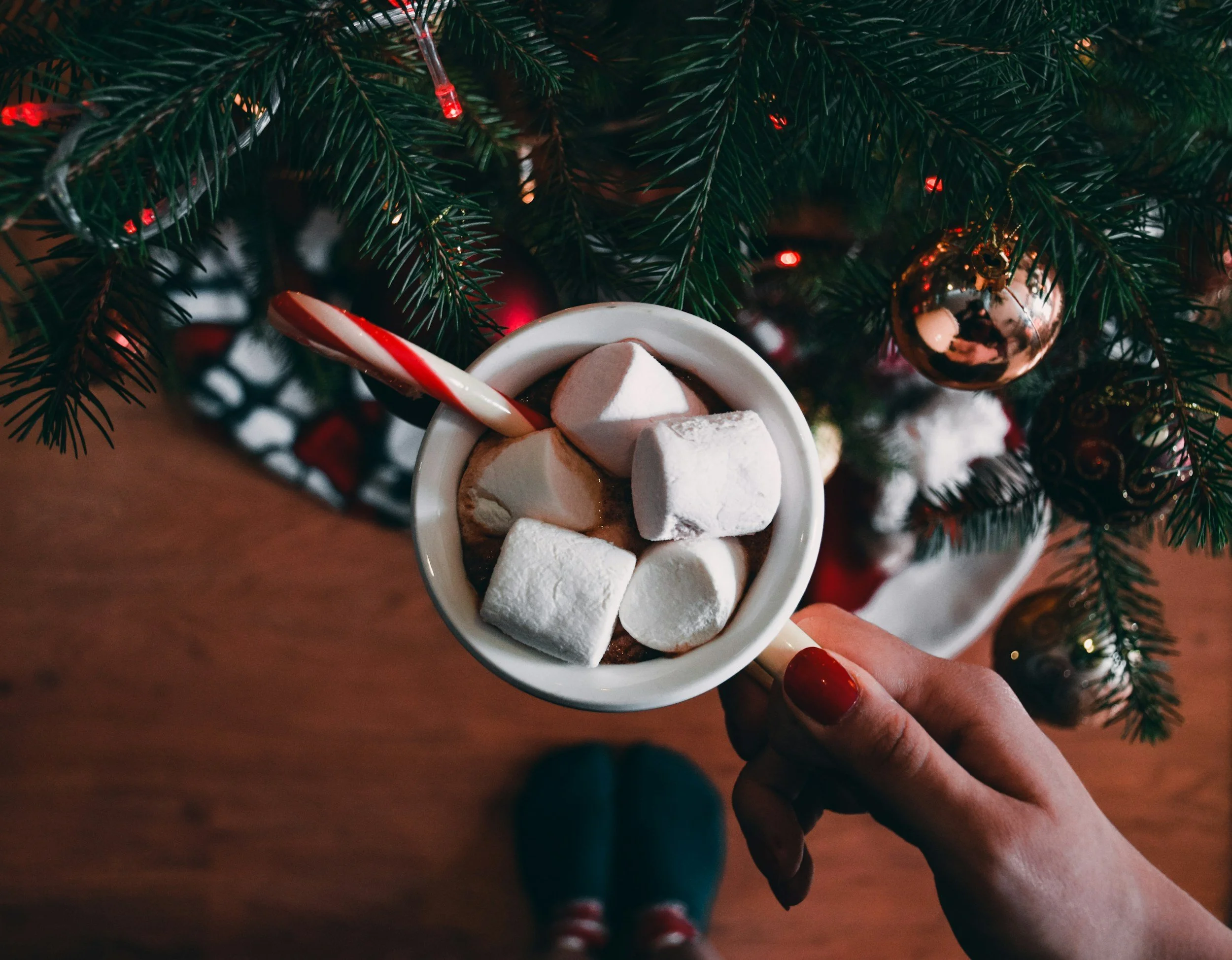 Hot Cocoa