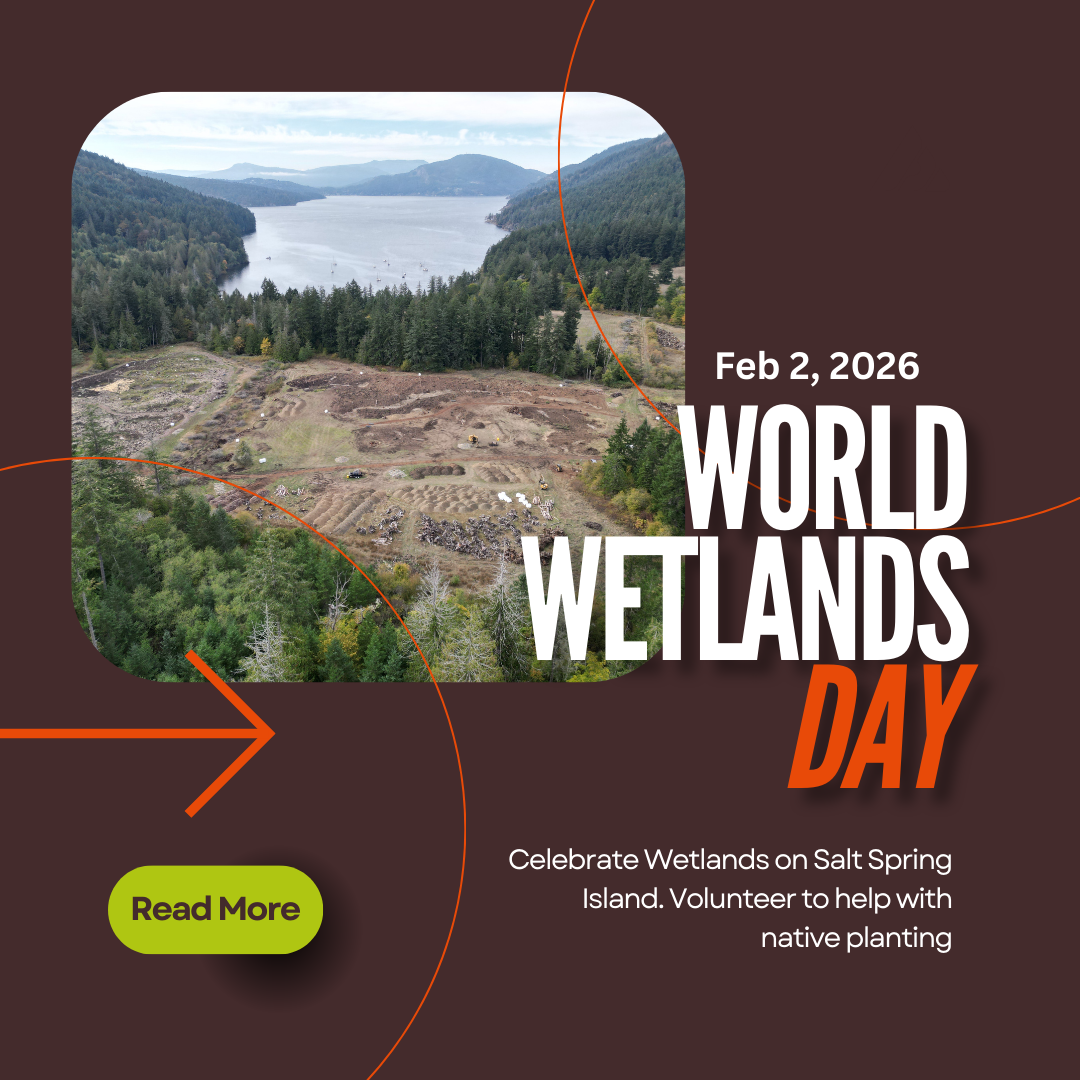 World Wetlands Day - Feb 2 planting day