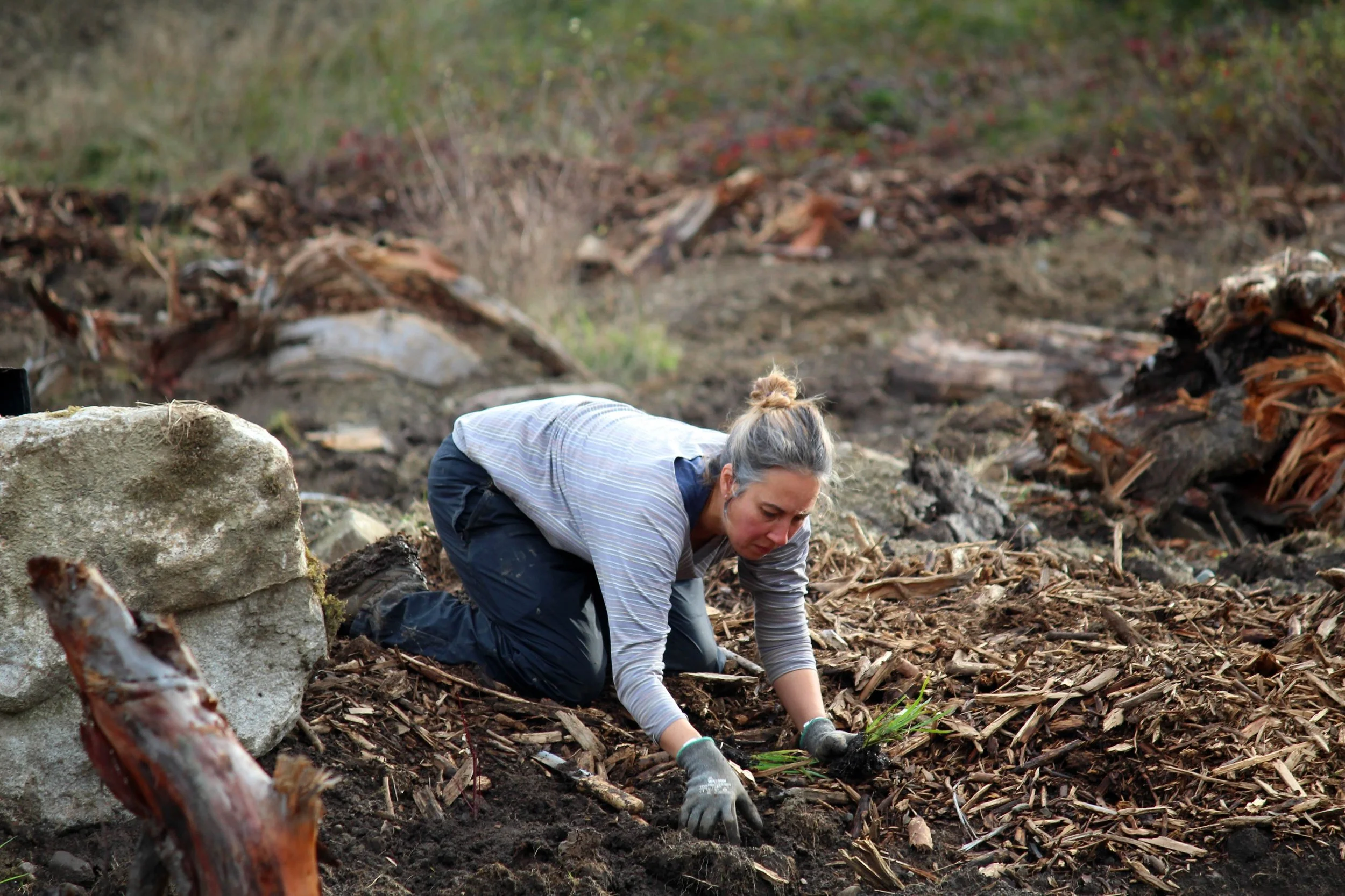 RAchel planting.jpeg