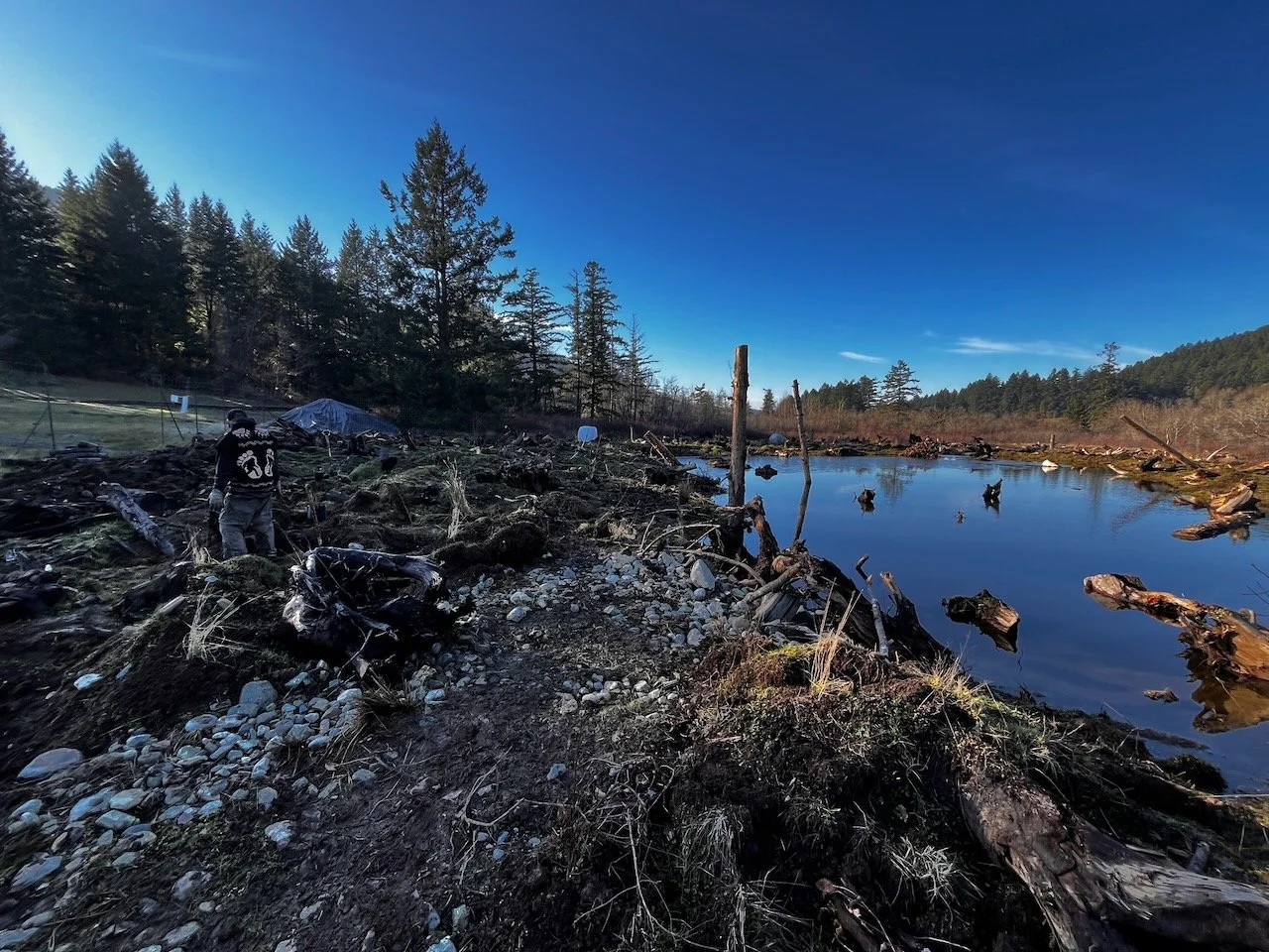 Wetland created.jpeg