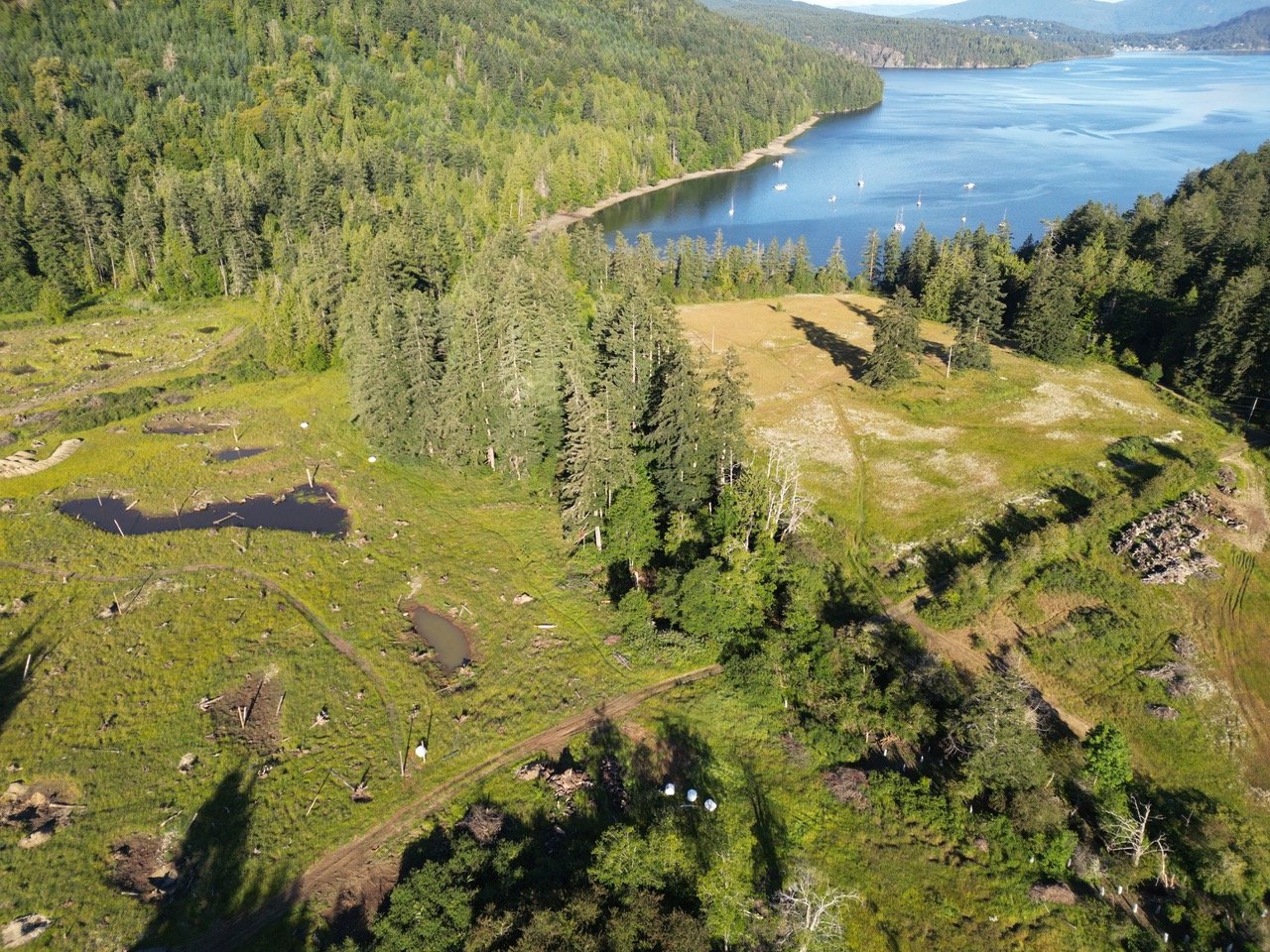 Wetland restoration.jpeg