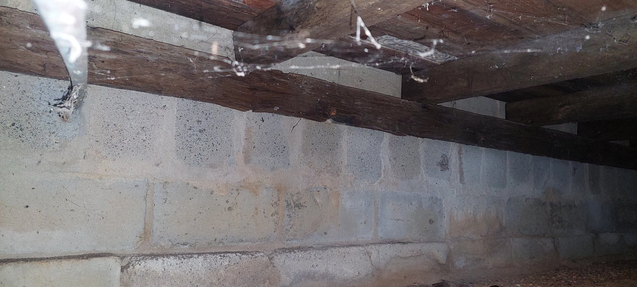 The Hidden Layer of Every Home: Why We Measure Before We Build