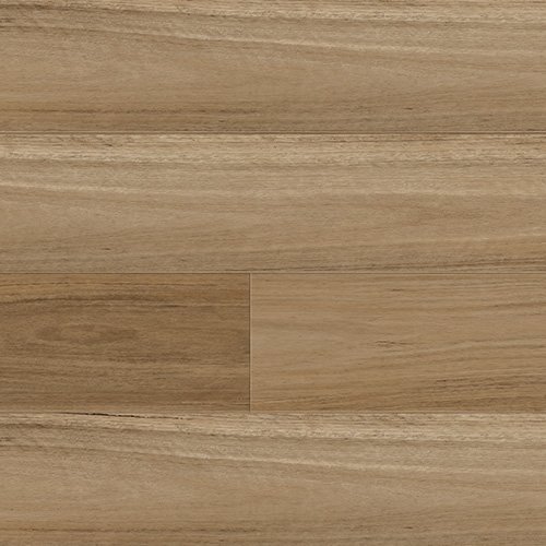 7169 Northern Blackbutt.jpeg