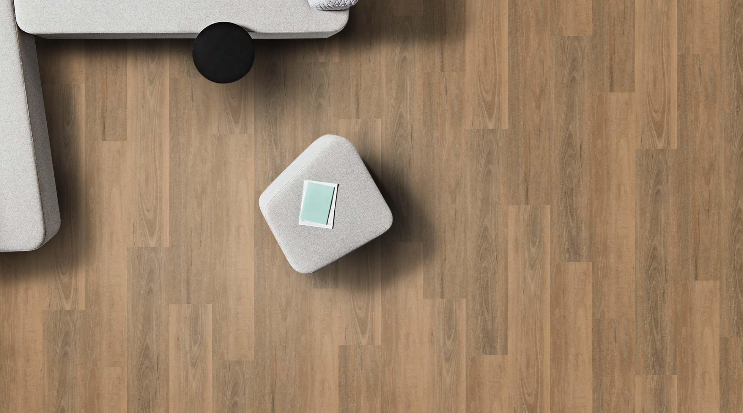 bright Spotted gum.png