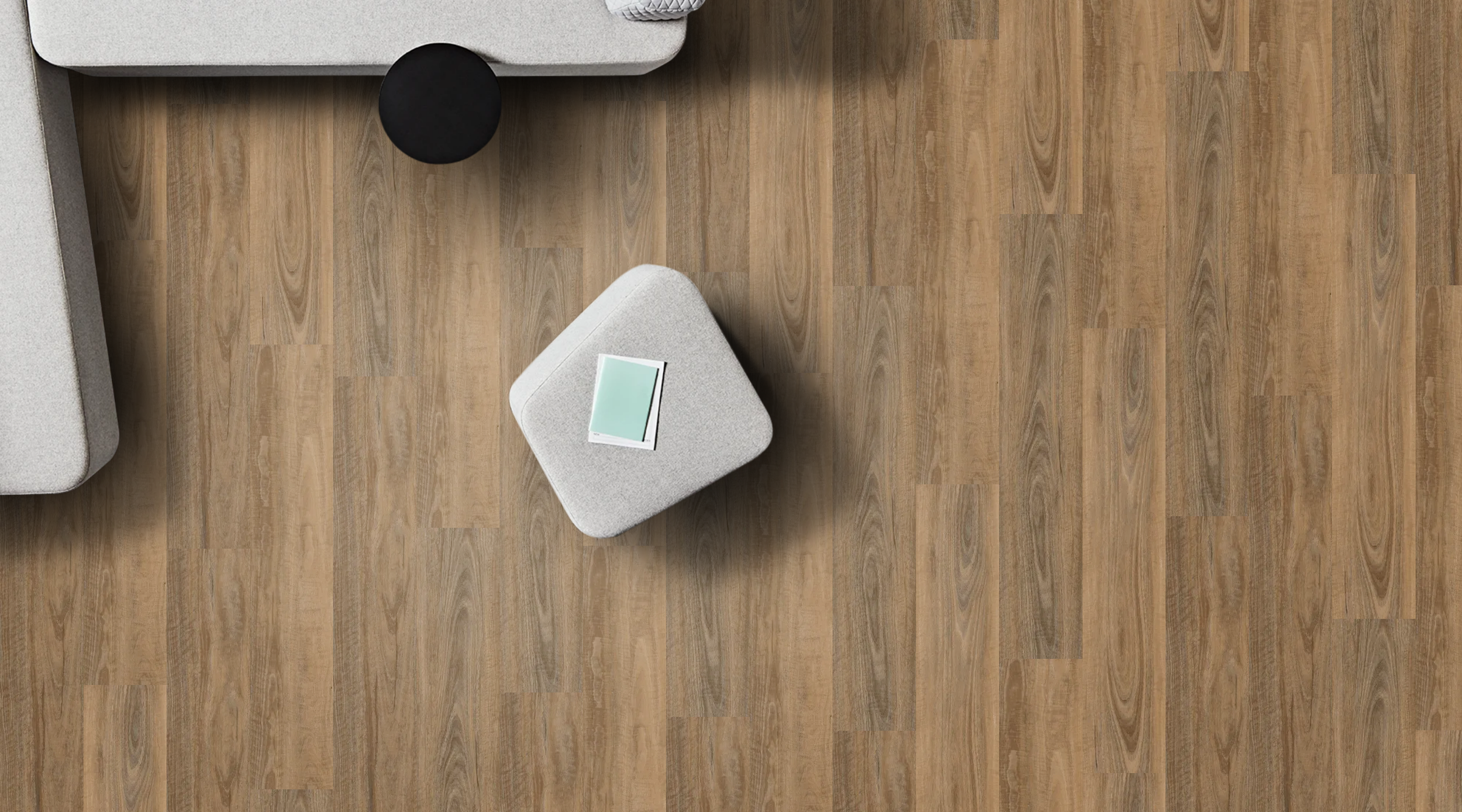 brindle Spotted Gum.png