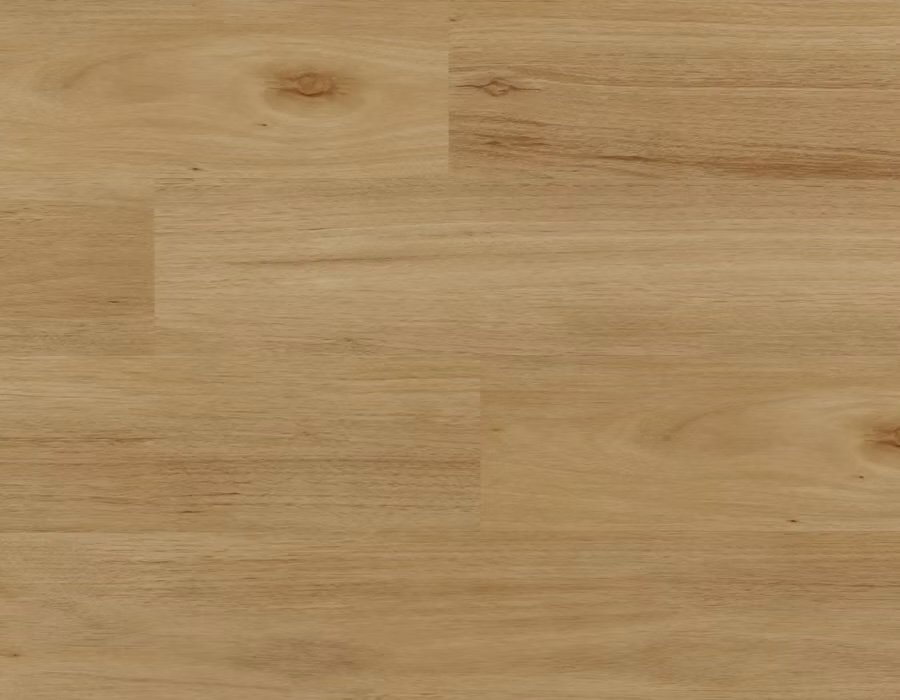 Coastal Blackbutt copy.jpg