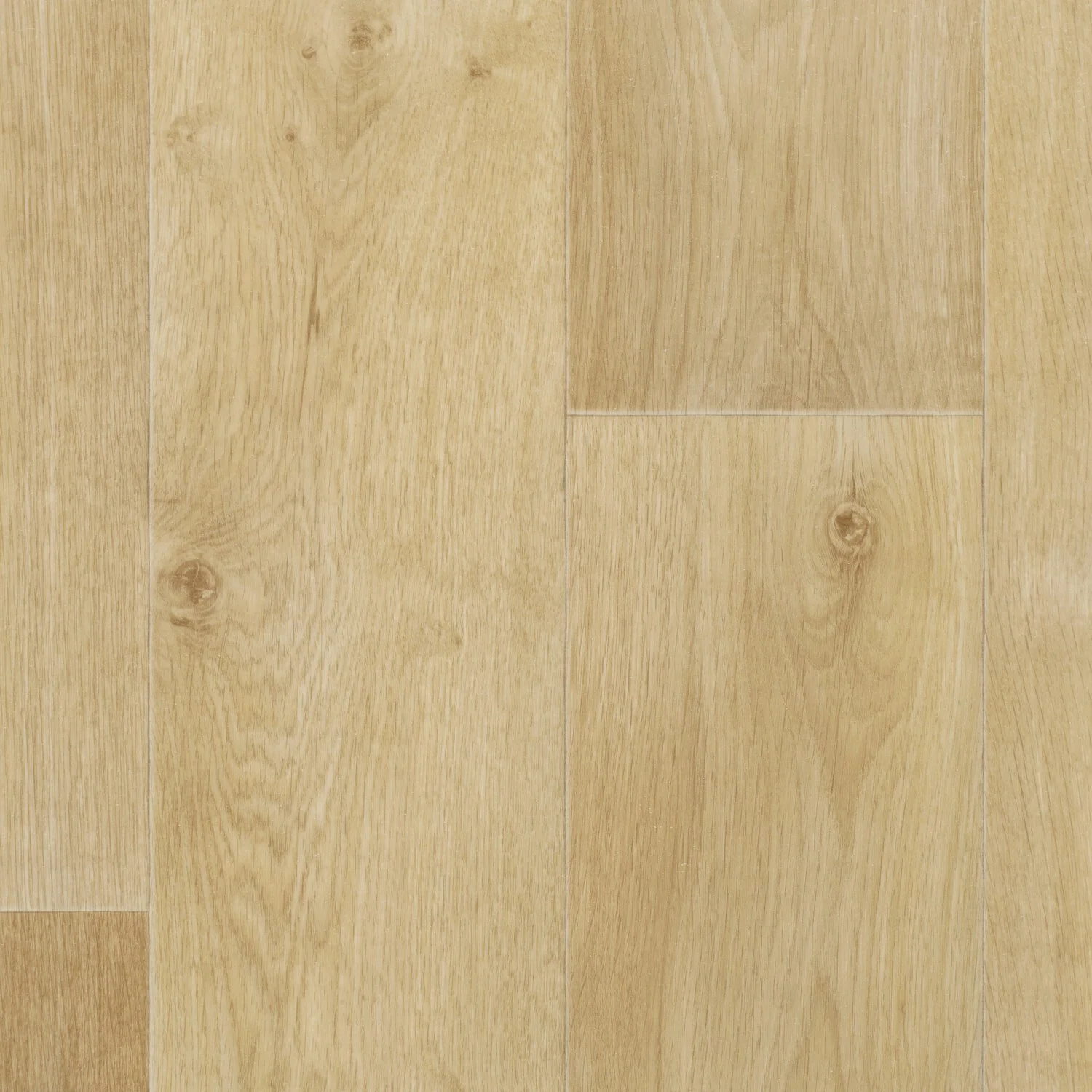 timber golden.jpg