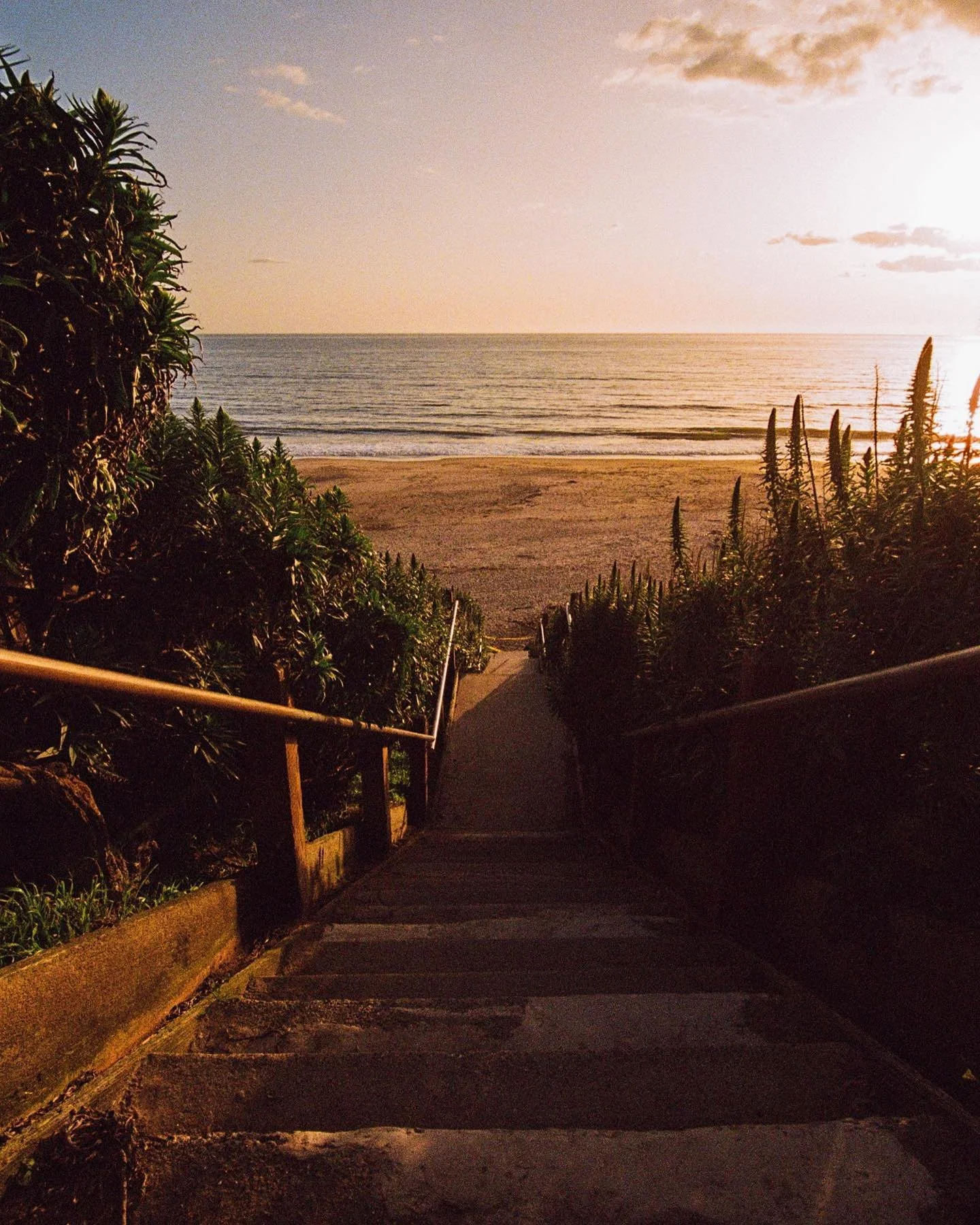 Summer time film. A few favorites from a recent roll walkin&rsquo; around.