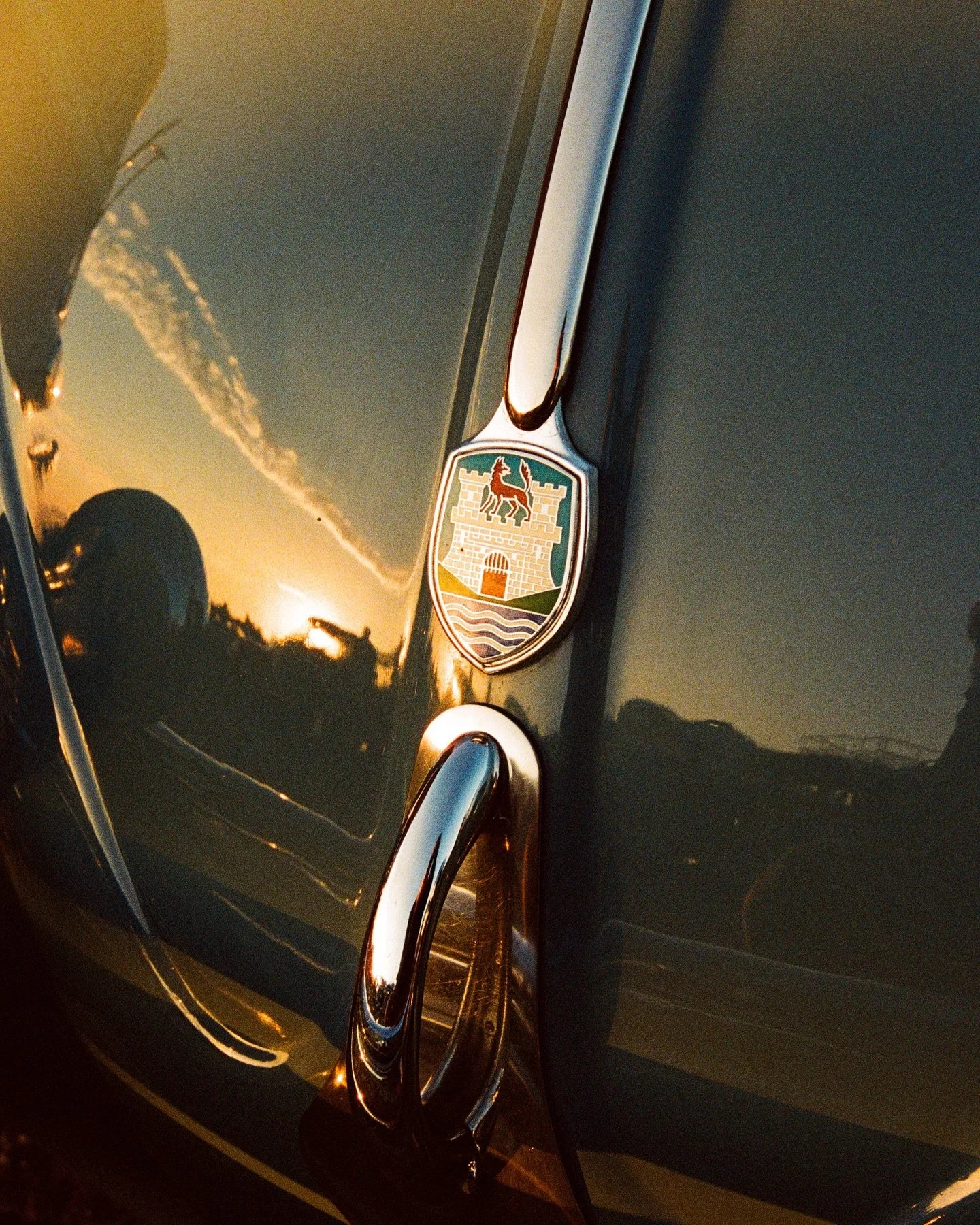Film favorites from the vw wharf invasion few weeks back. #porta800 #cinestill800t #aircooled