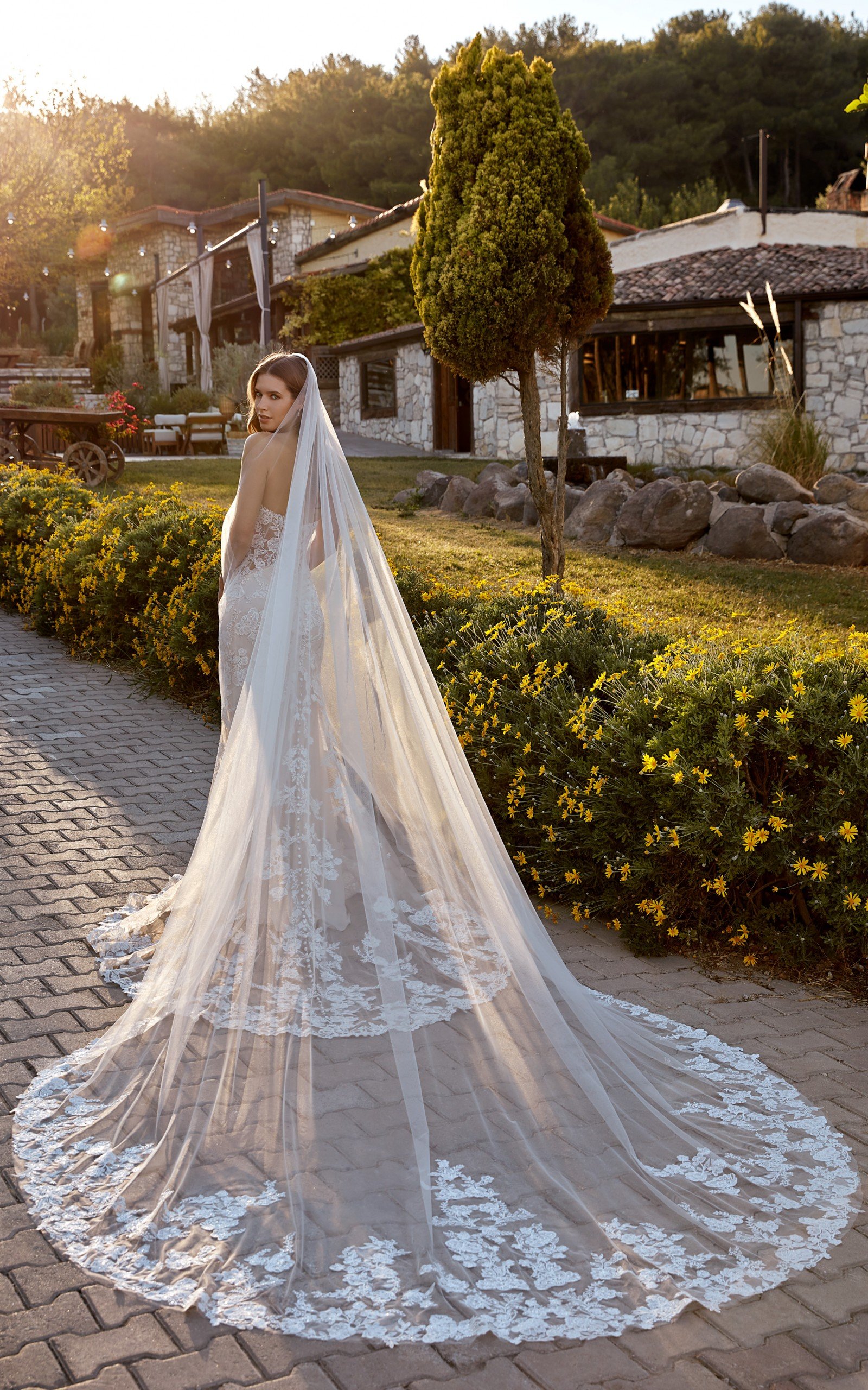EK1511_Kennedy_back3_veil_web-scaled.jpg