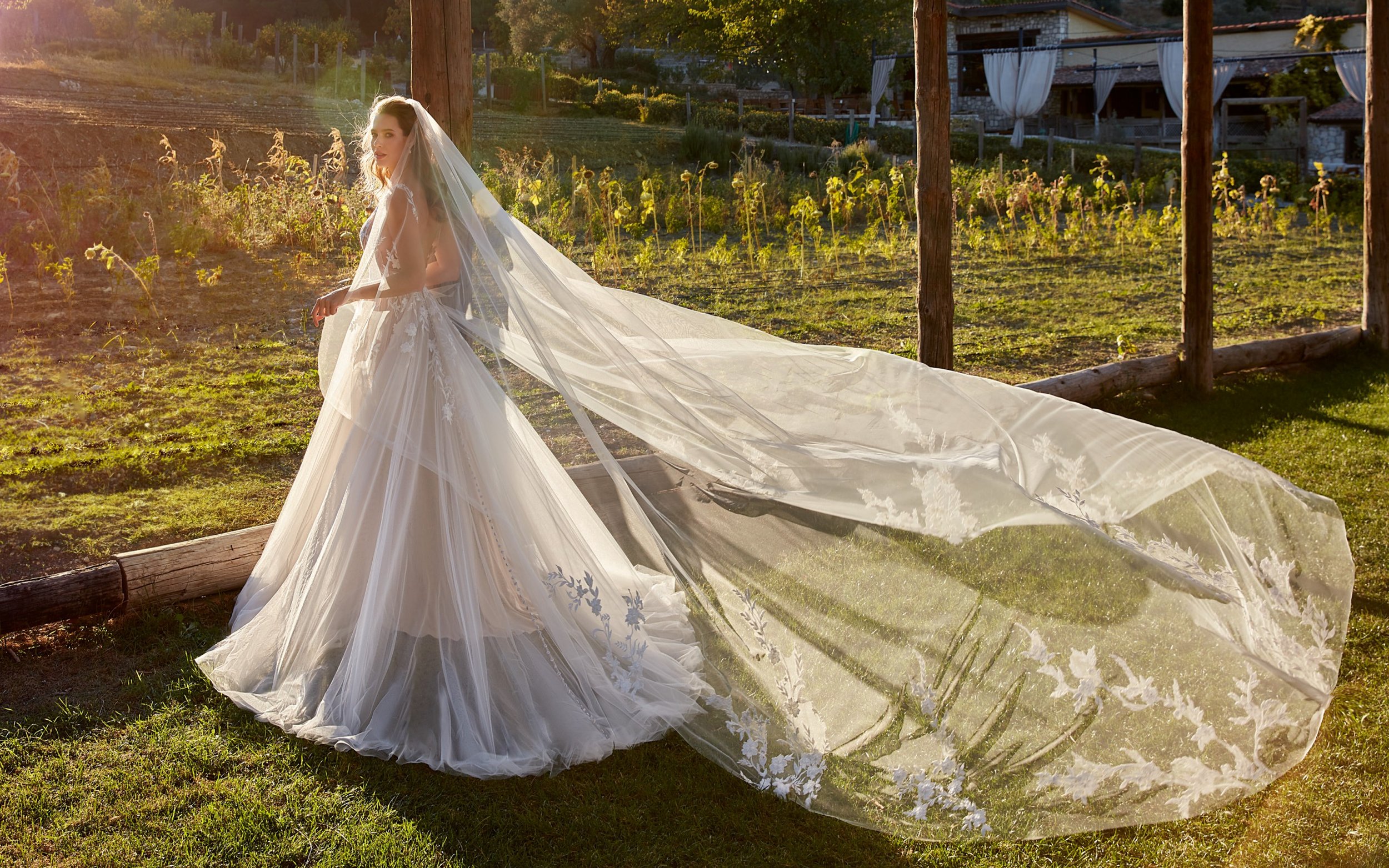 EK1502_Carrie_back3_veil_wide_web-scaled.jpg