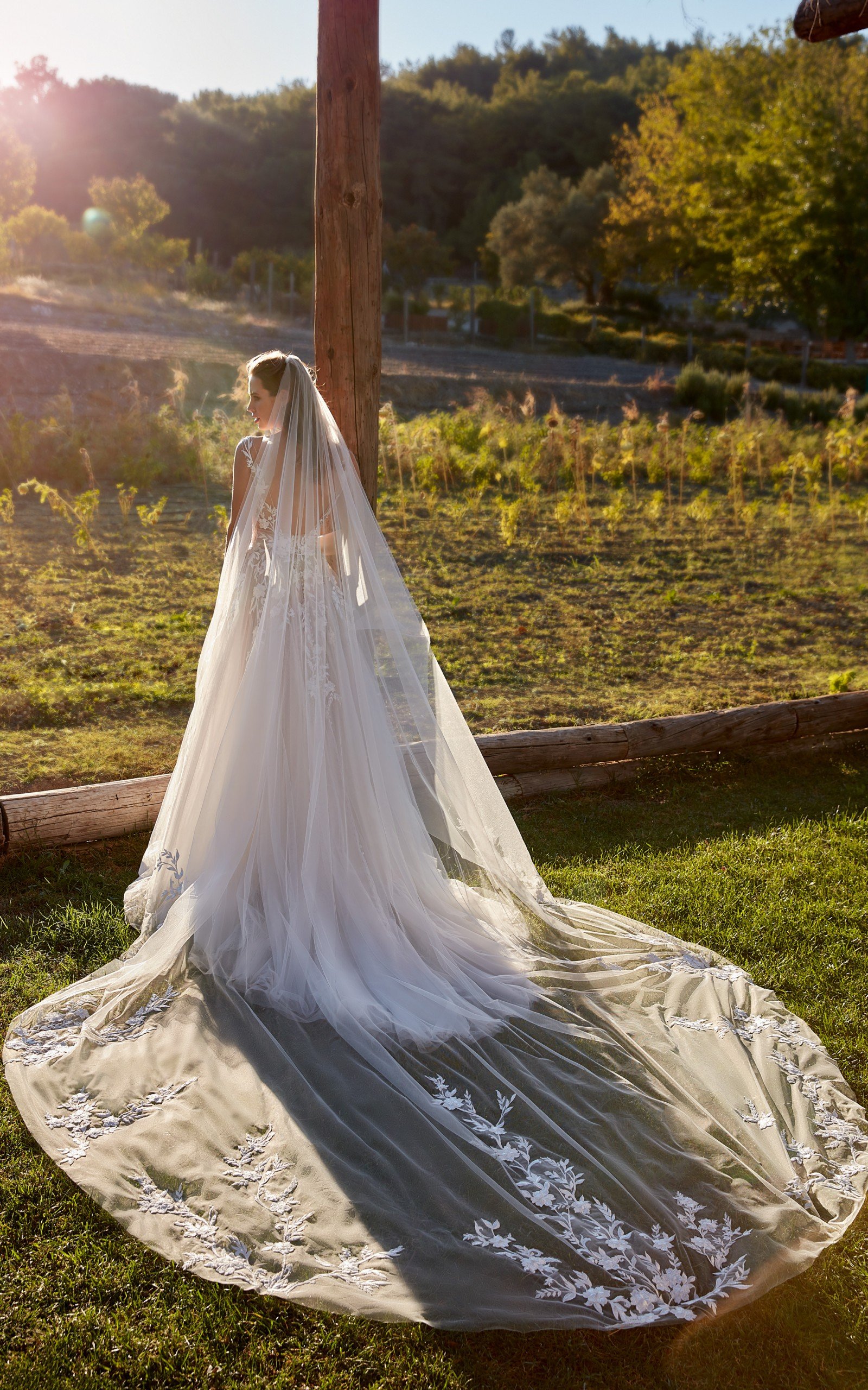 EK1502_Carrie_back2_veil_web-scaled.jpg