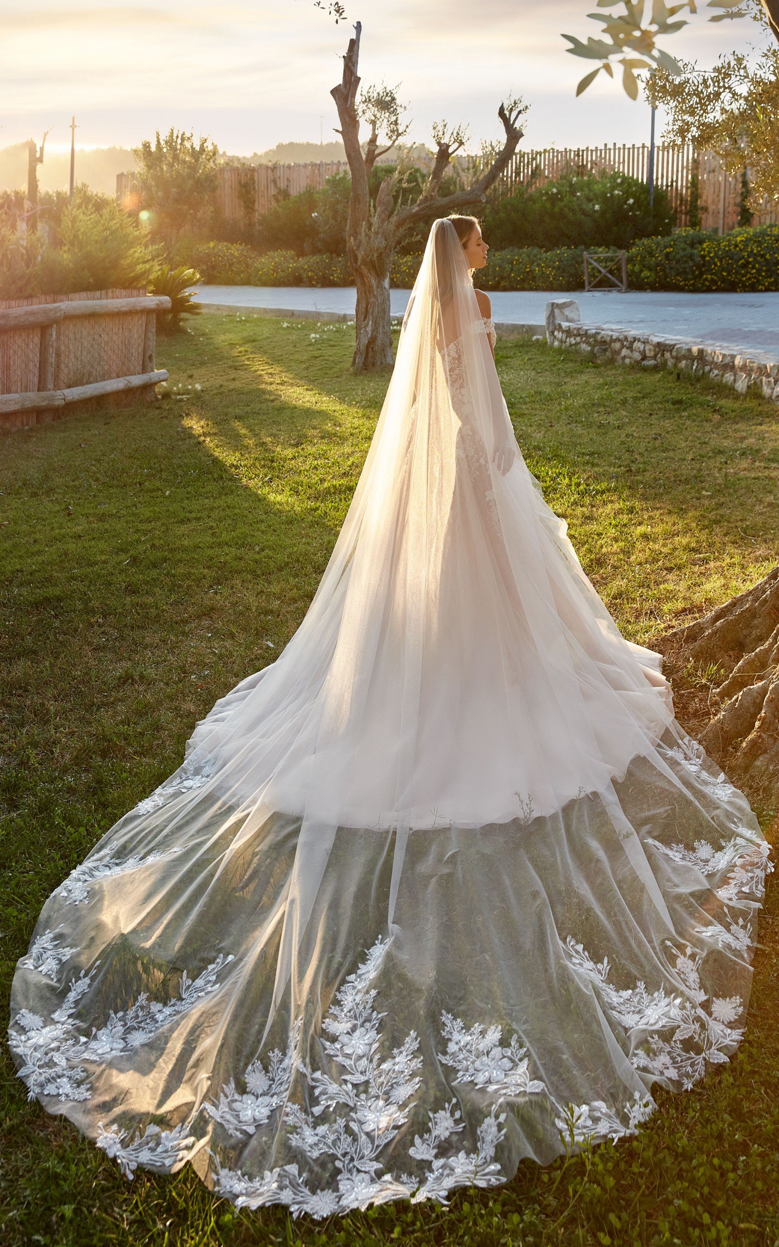 EK1512_Lauren_back2_veil_web-scaled.jpg