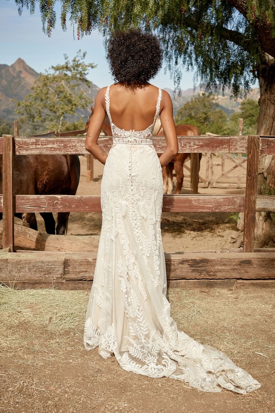 MJ860-14_fe9d448278d6374705cad208a7ef2a7b.jpg
