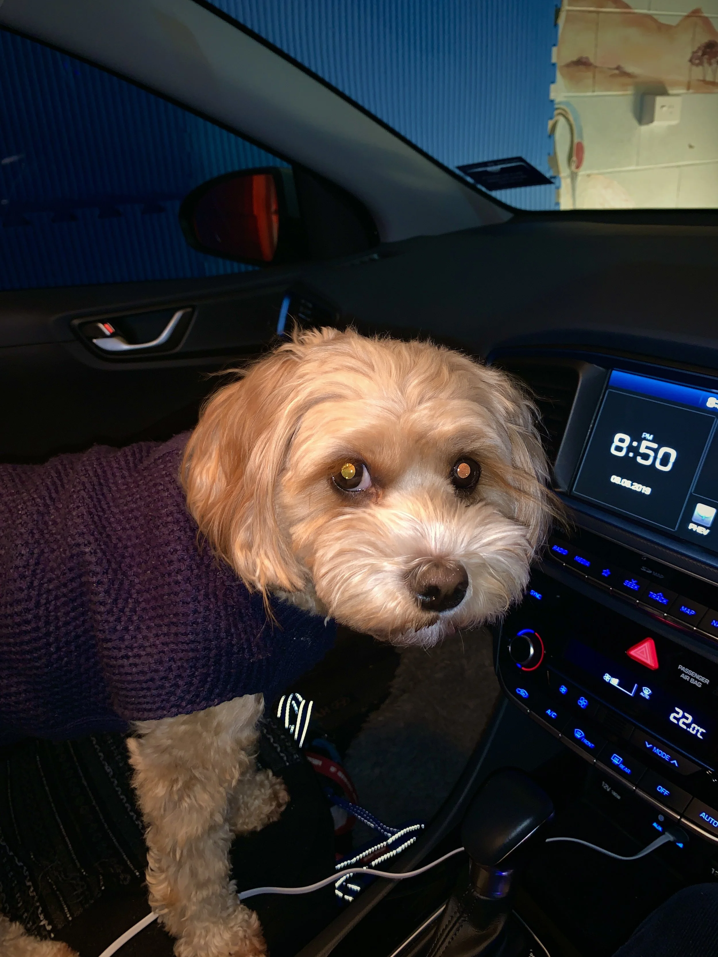 58176311247__4AA3D785-8020-4E5E-83A1-345C25BFFF6C 2.JPG