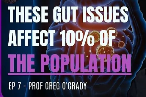 Screenshot 2023-09-27 at 2.17.26 PM.jpg