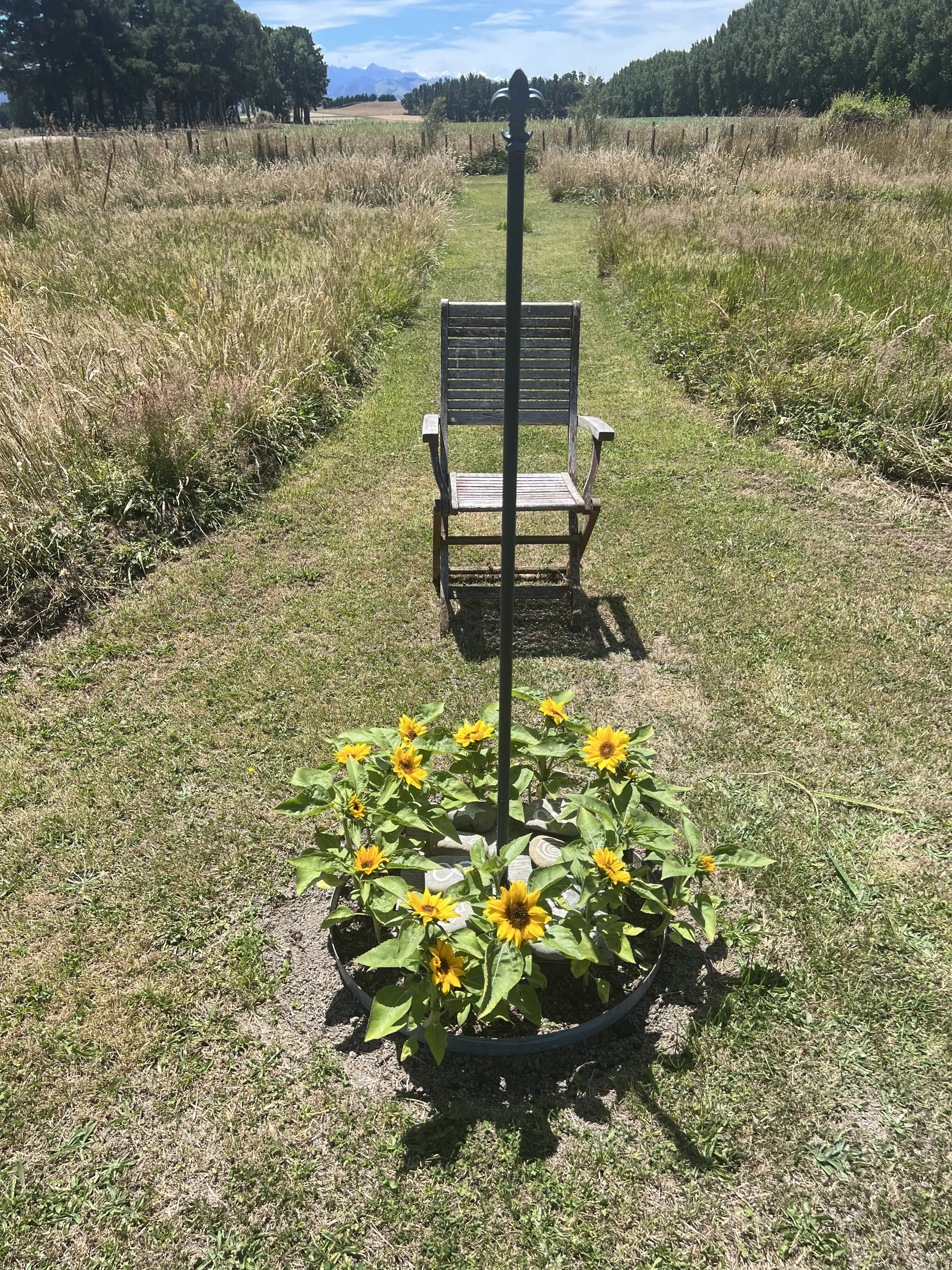 Between Screens and 
Stillness