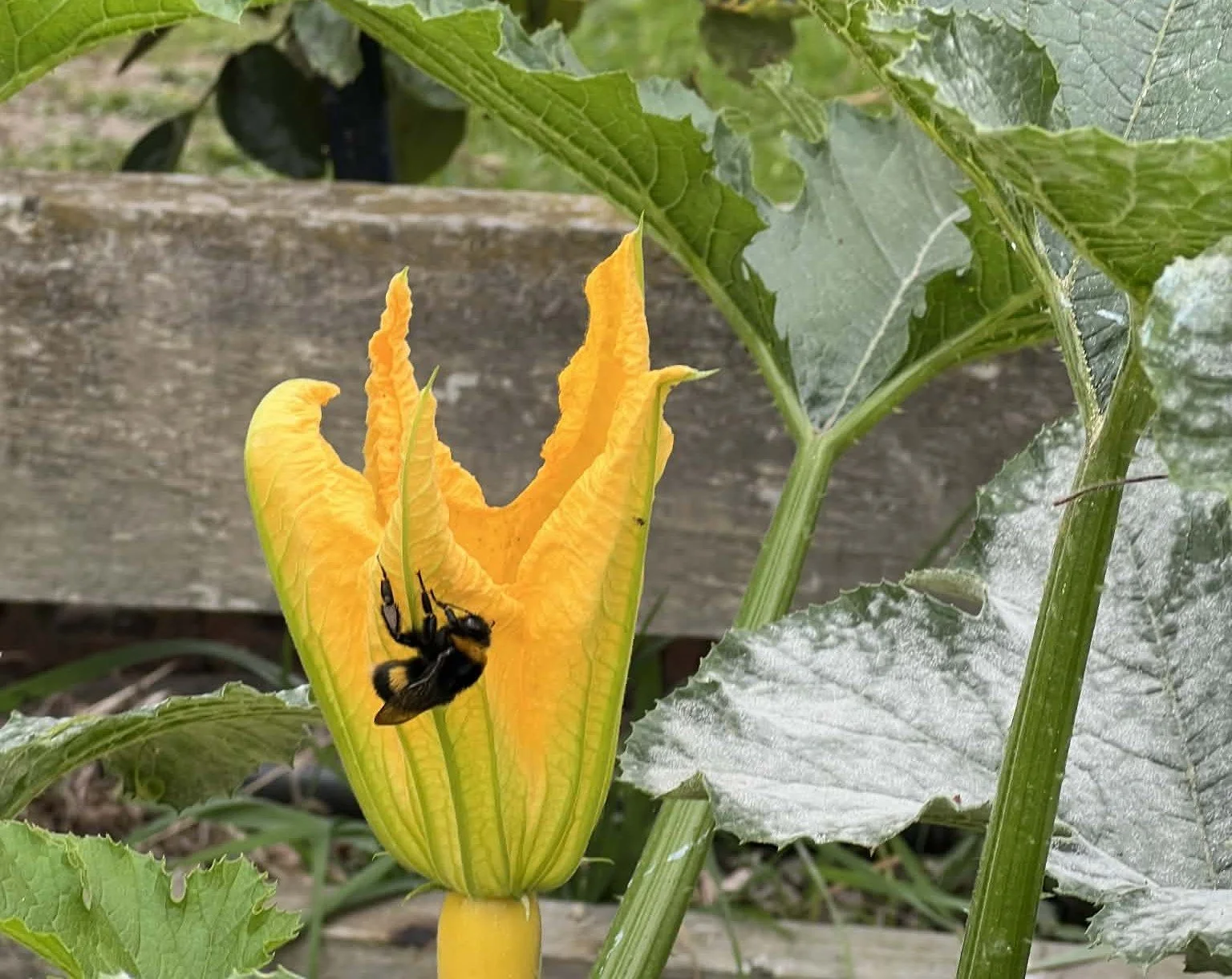 The Calm Within the Storm: Reclaim Simplicity