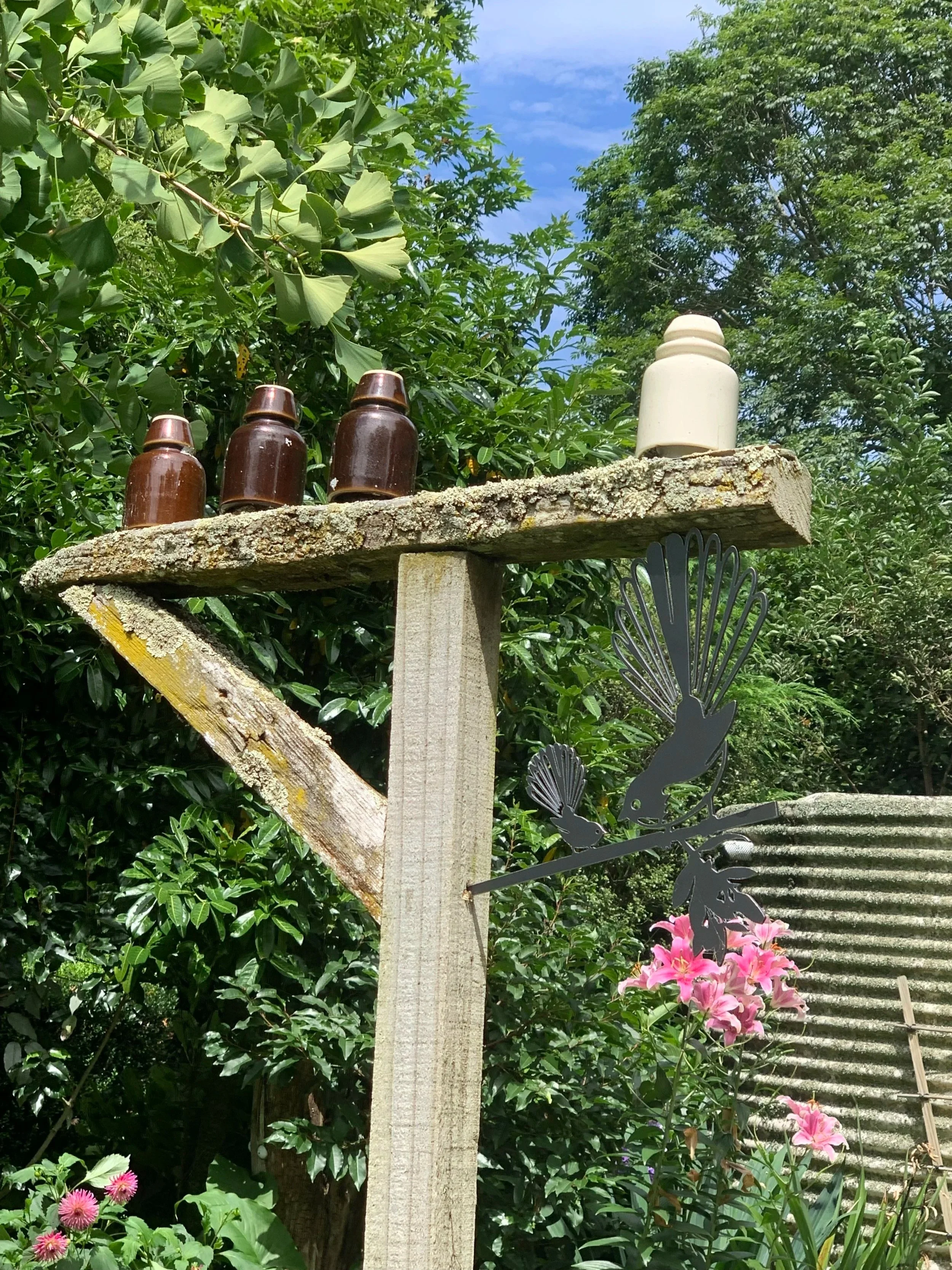 What Are Your Cells Hearing Today?  

 Thoughts & Movement—Shape Your Health