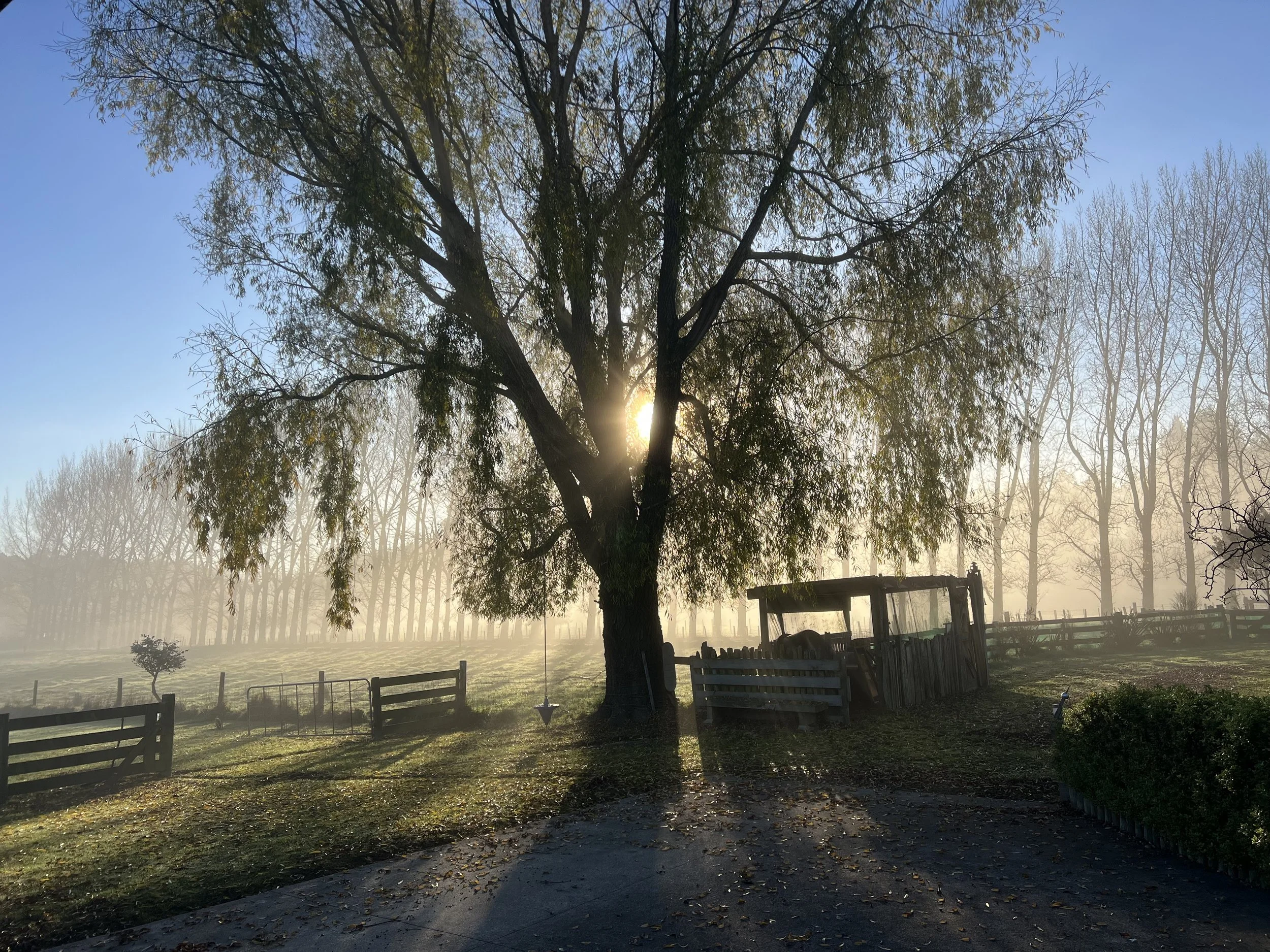 Meeting One’s Self Without Distraction : Finding Peace Within