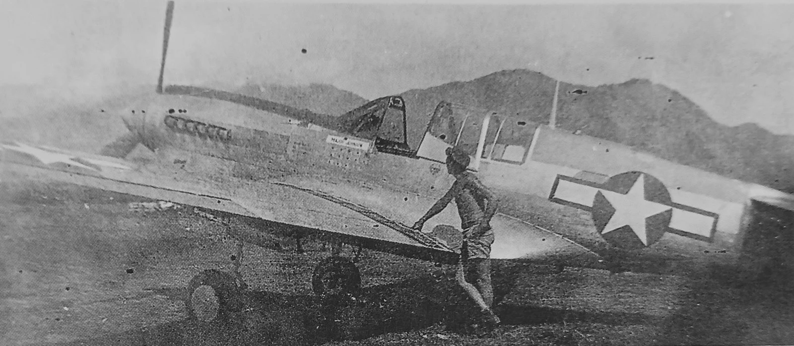 Johnson P-40N 1.jpg
