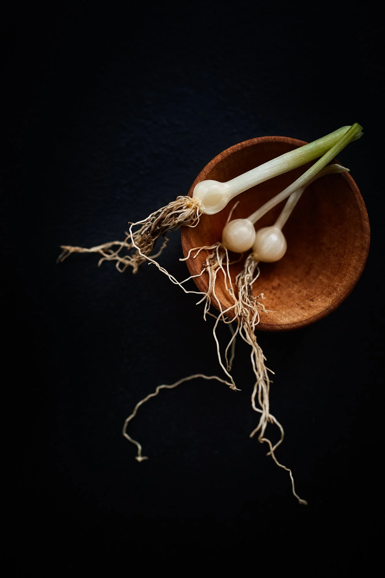 onion bulbs in bowl.jpg