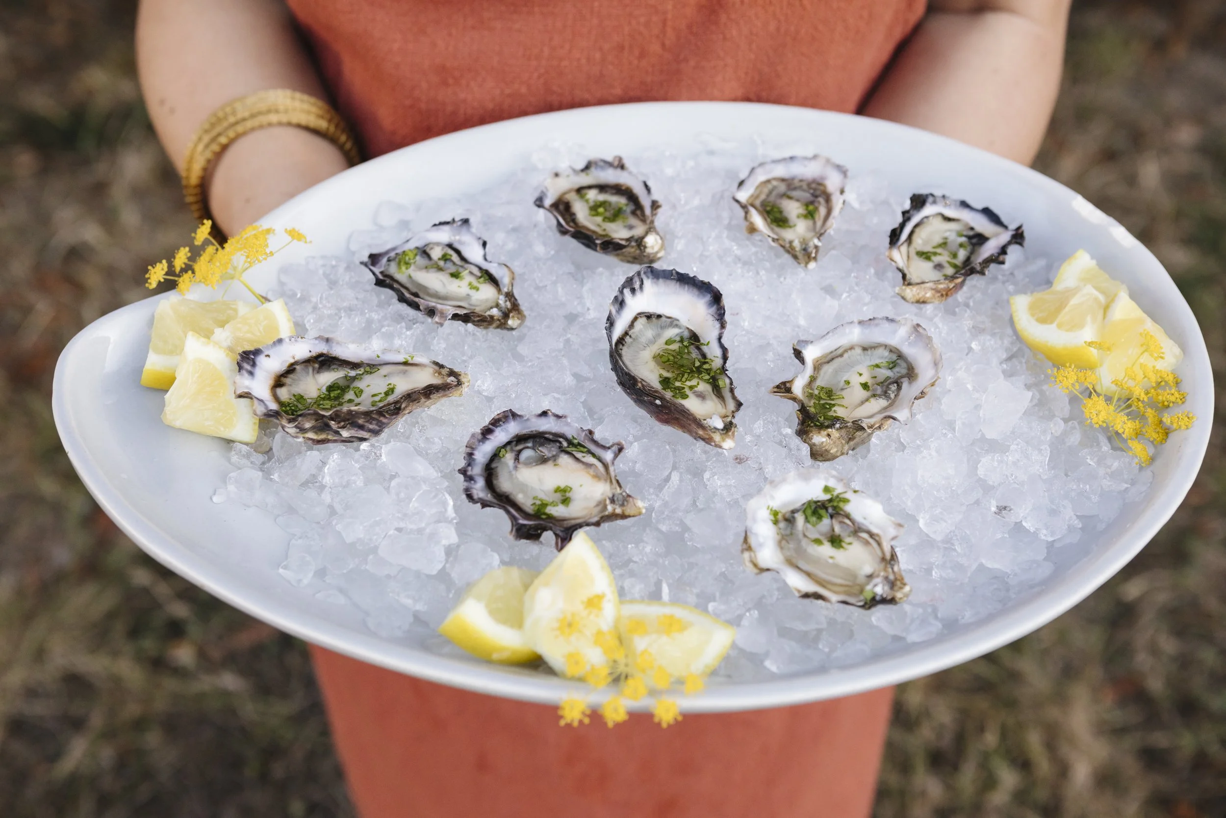 plated oysters on ice 1.jpg