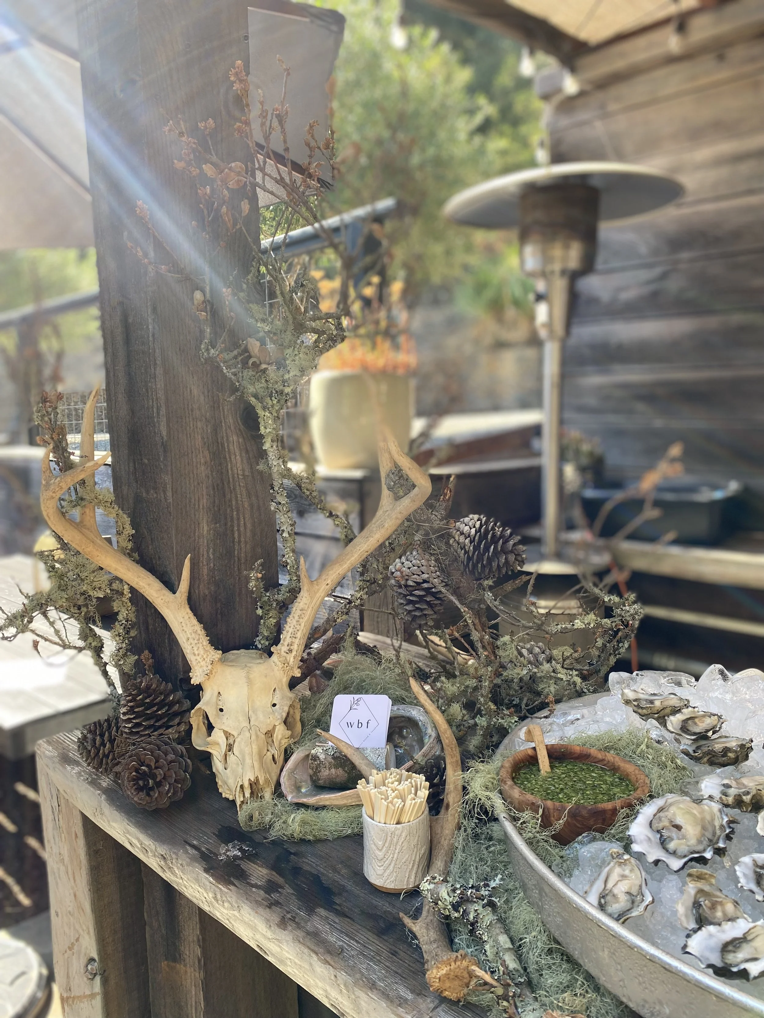 skull oyster bar 2.jpeg