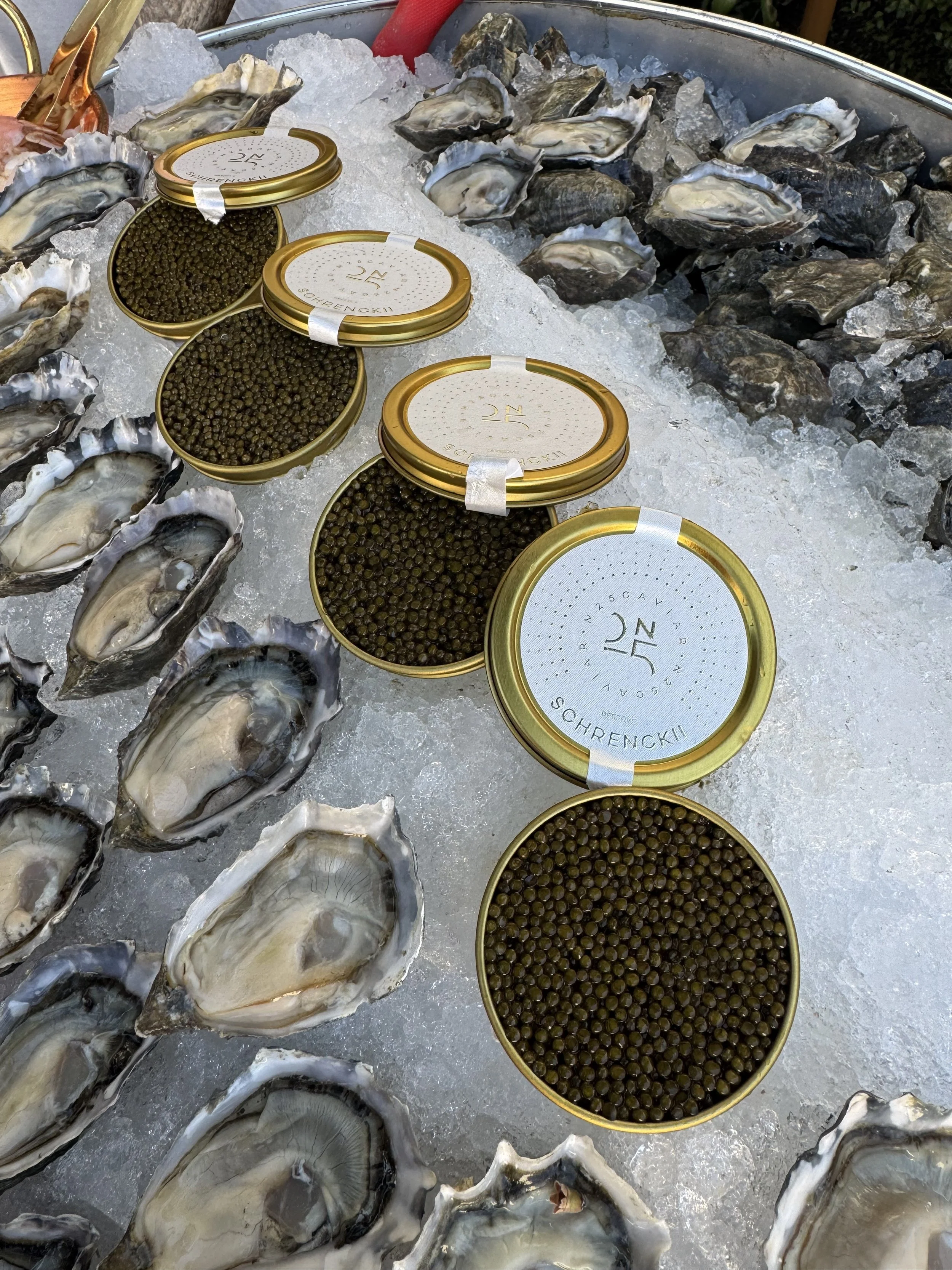 oyster and caviar.jpg