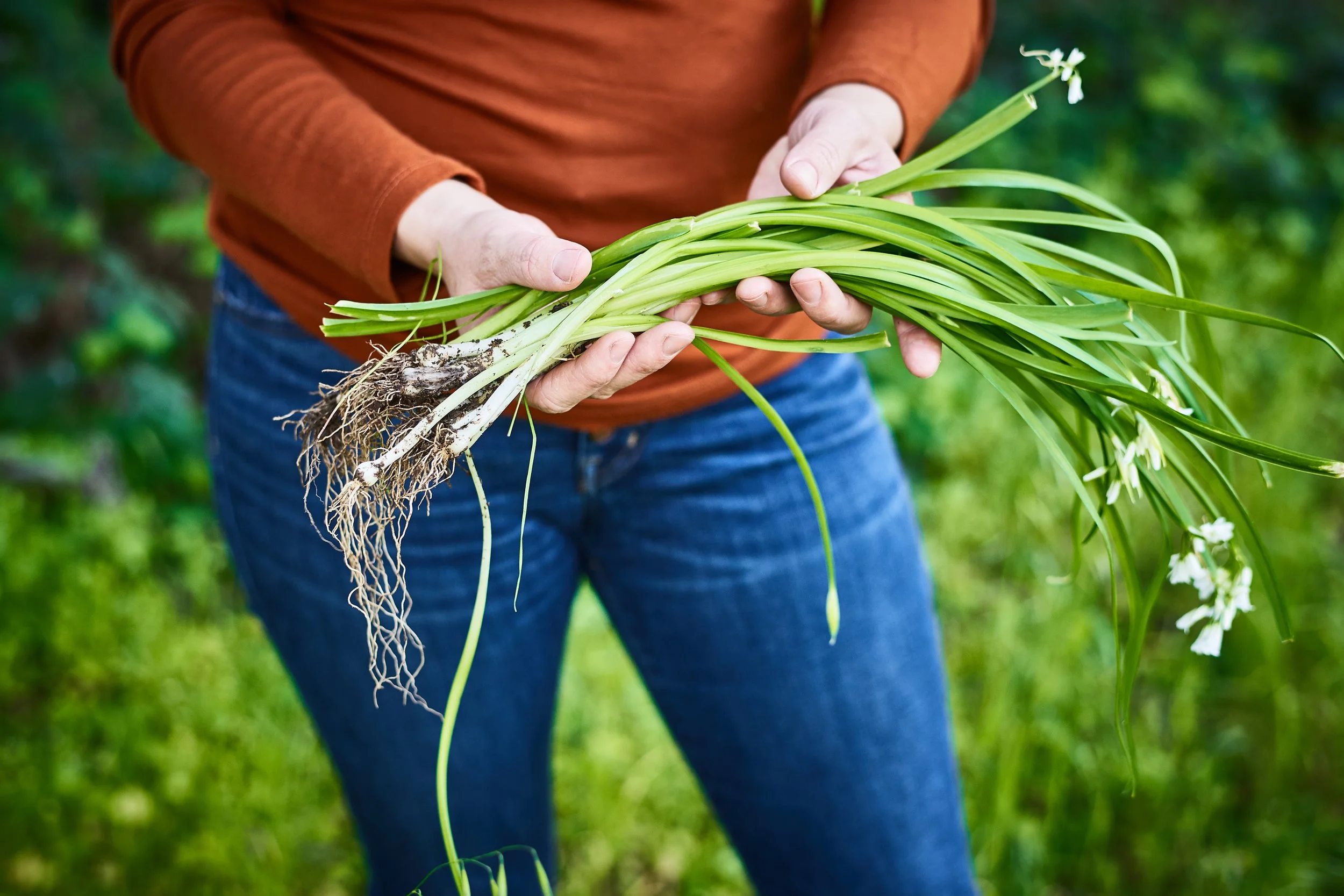 ko holding onion blossoms.jpg
