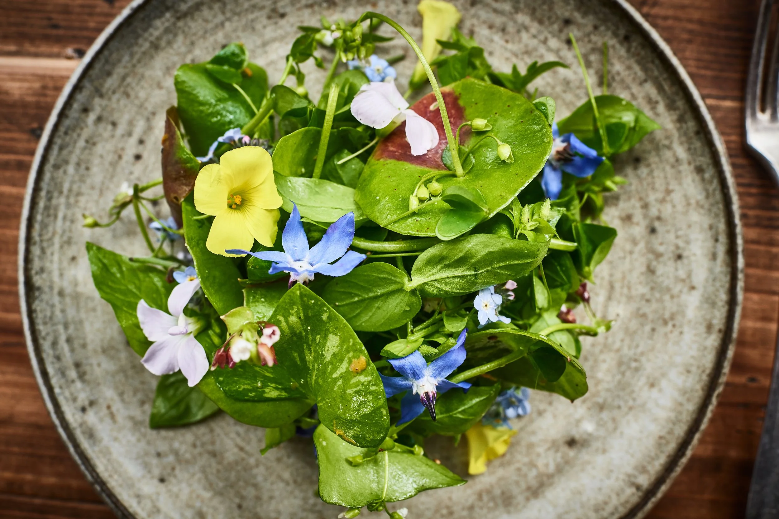 wild greens salad close up.jpg