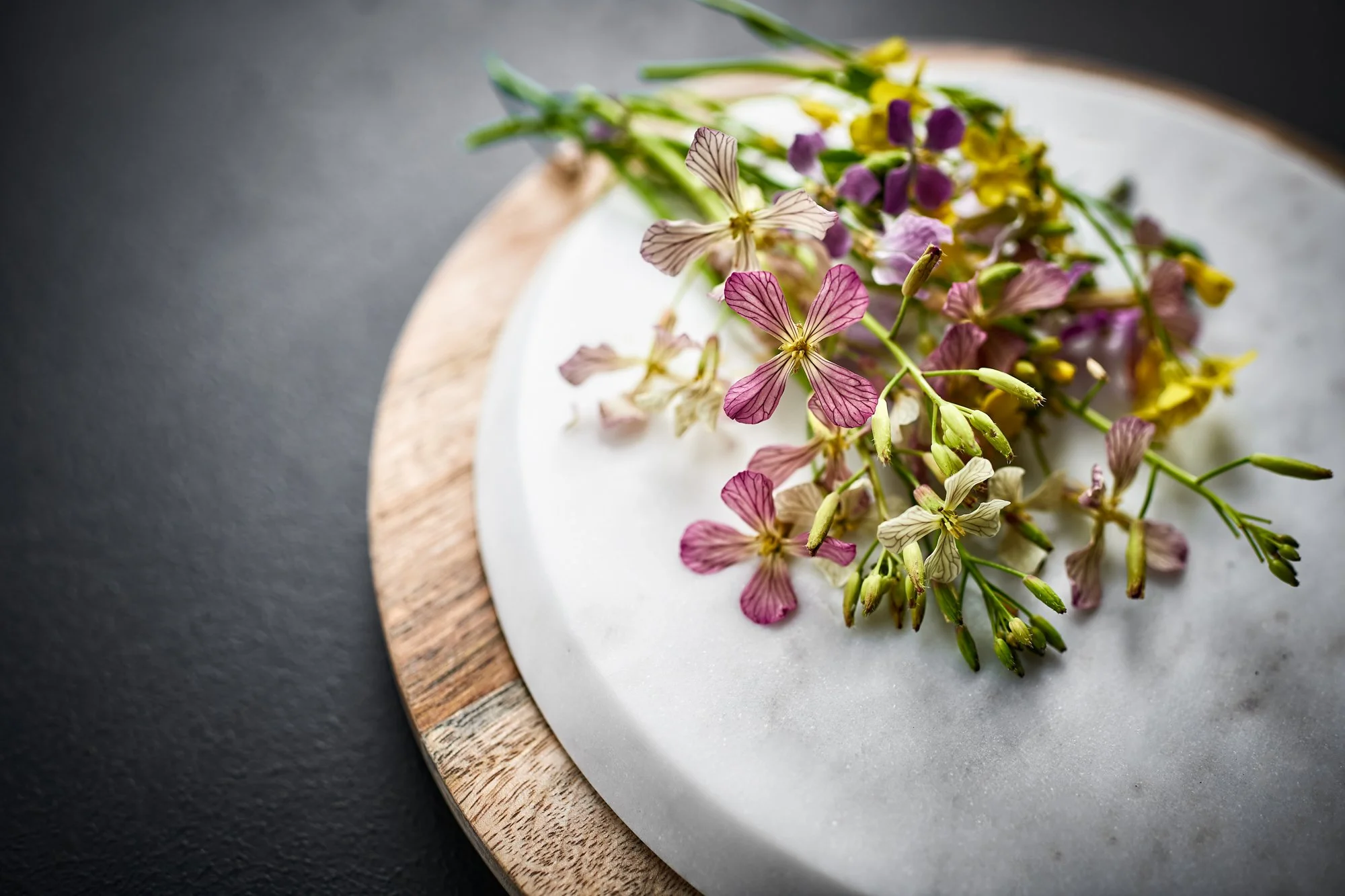wild radish blossoms.jpg