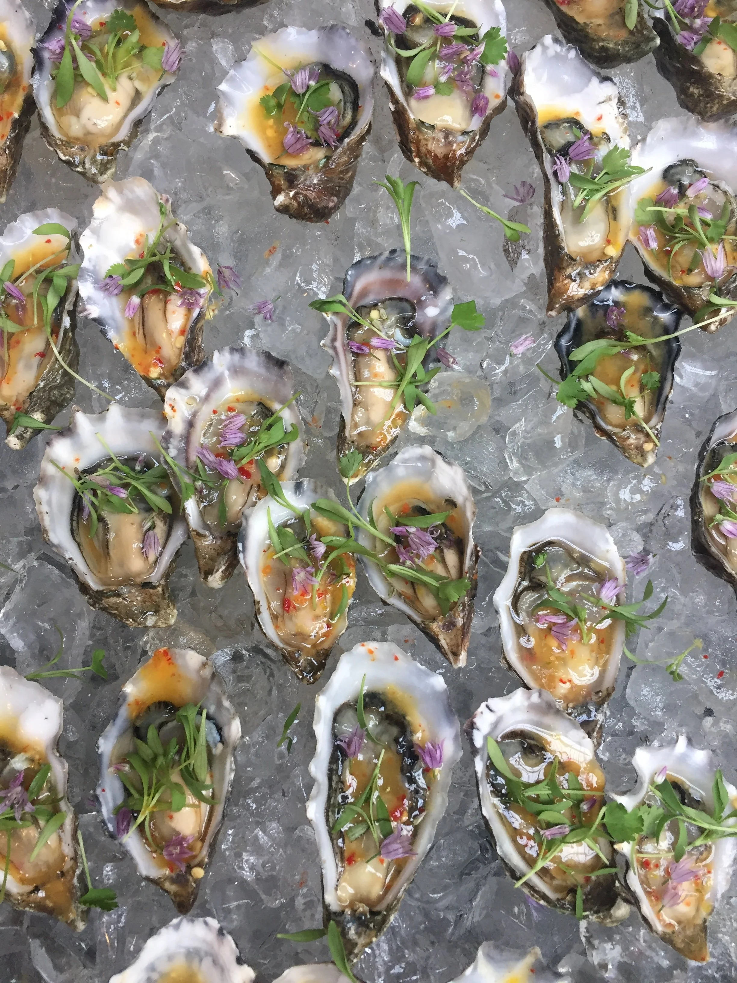 oysters micro cilantro.jpeg