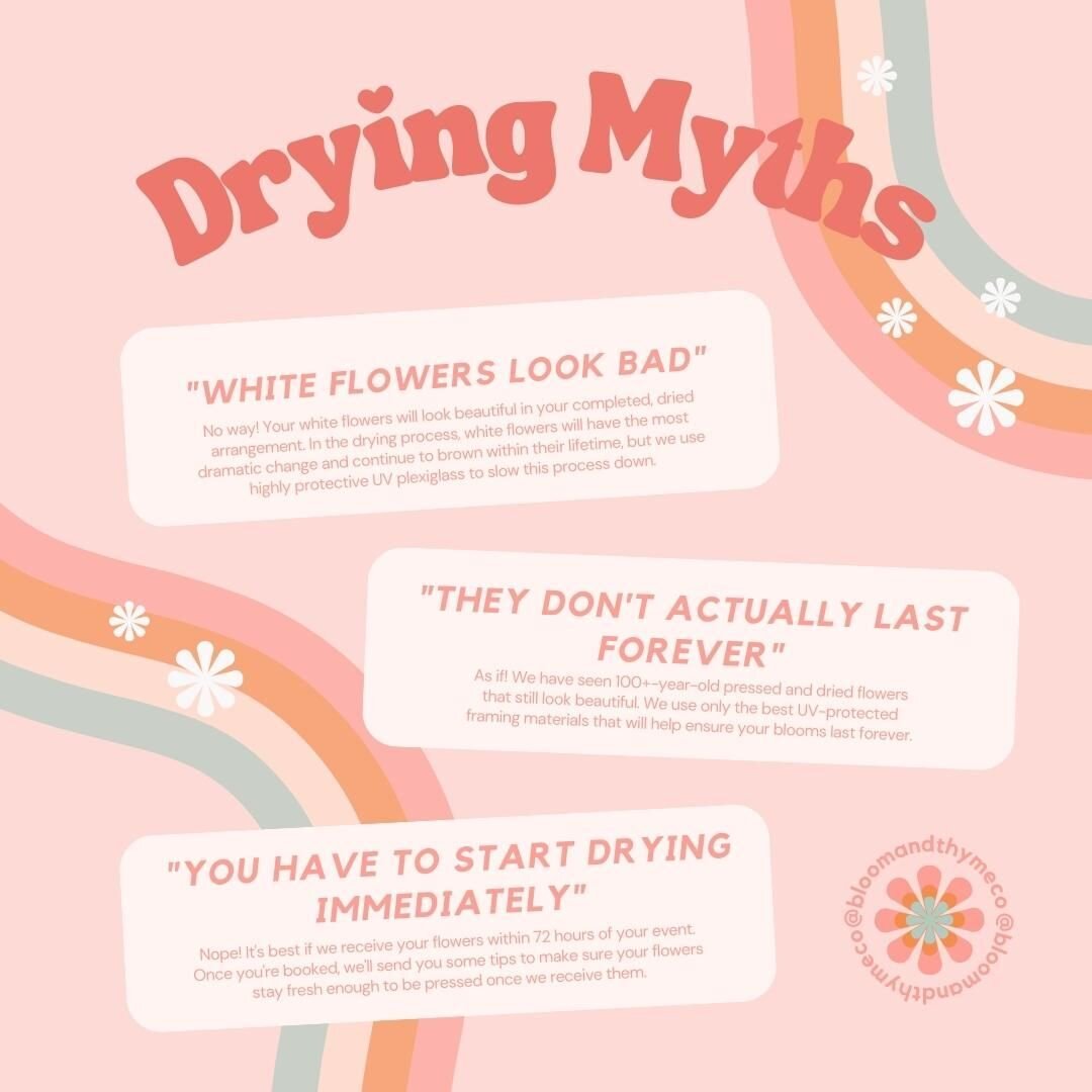 Debunking some floral preservation myths 💪🏼 #wedding #weddingflowers #weddingplanning #brides #floralpreservation